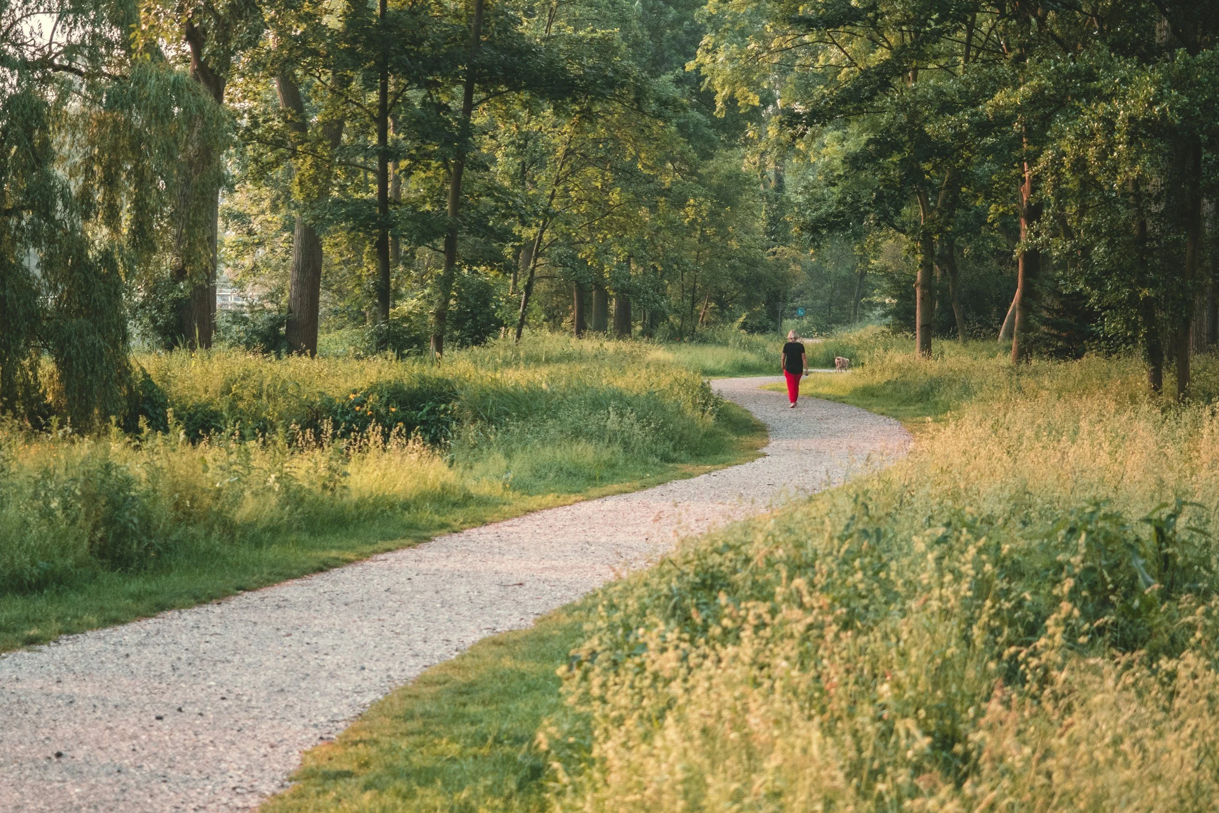 A person walking a dog on a gravel path surrounded by lush green trees in a park during daytime.