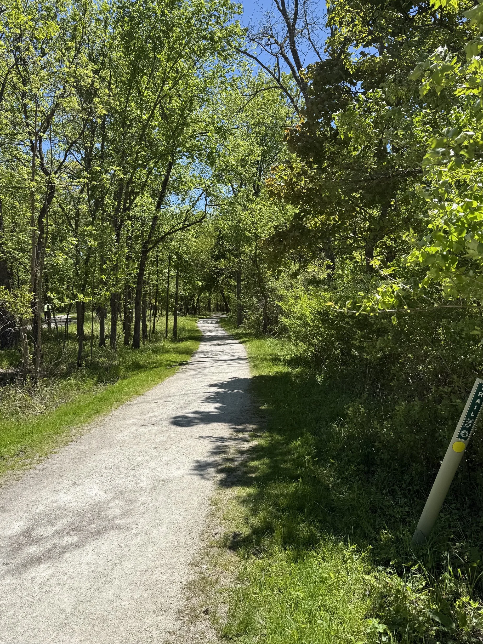 Peaceful walking trail on Chicago’s North Shore used for walk-and-talk therapy.