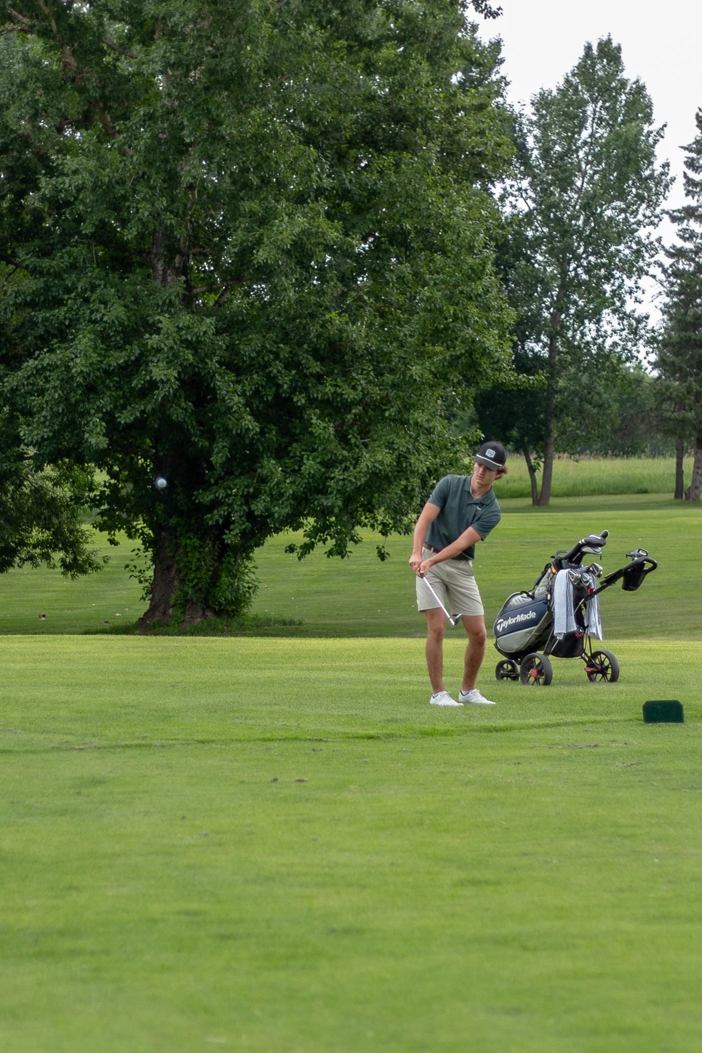 WJGT-26-GLGC-00210.jpg