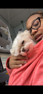 A woman holding a small white puppy close to her face, smiling, in a veterinary or pet care environment.