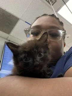 Person holding a black kitten with blue eyes in an indoor setting.