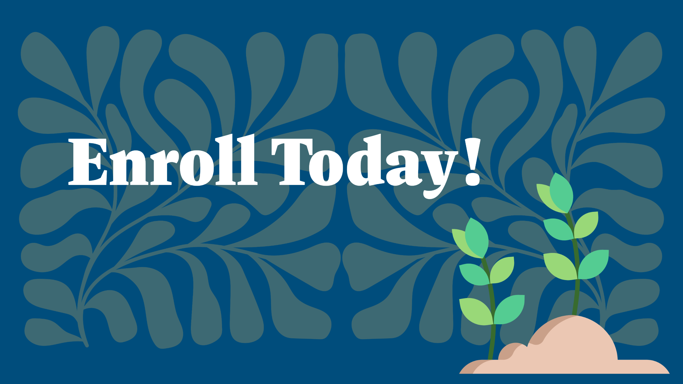 Stellar blue enroll now footer