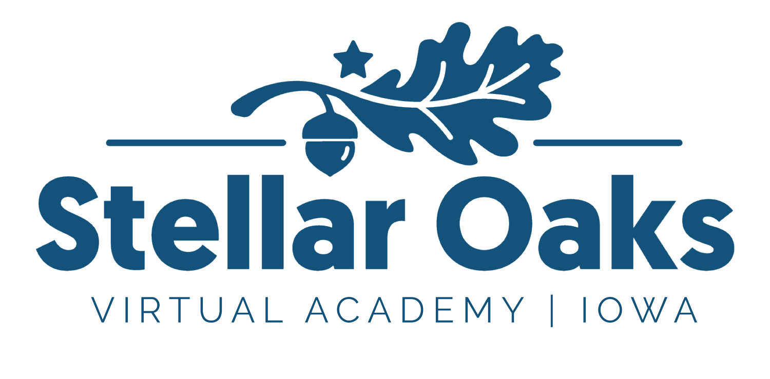 Stellar Oaks Virtual Academy