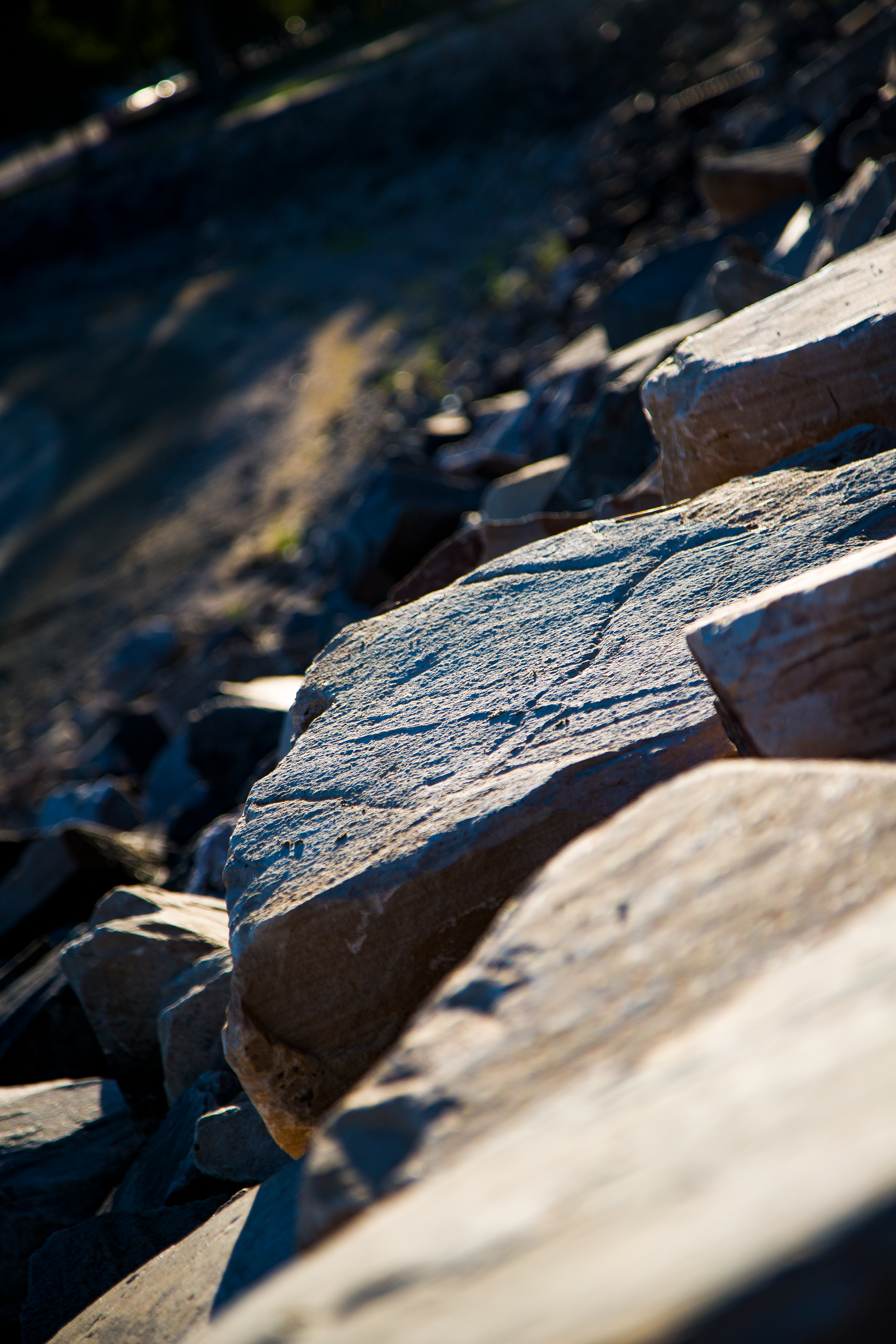 Rocky shore of Lake Loveland. Loveland, Co