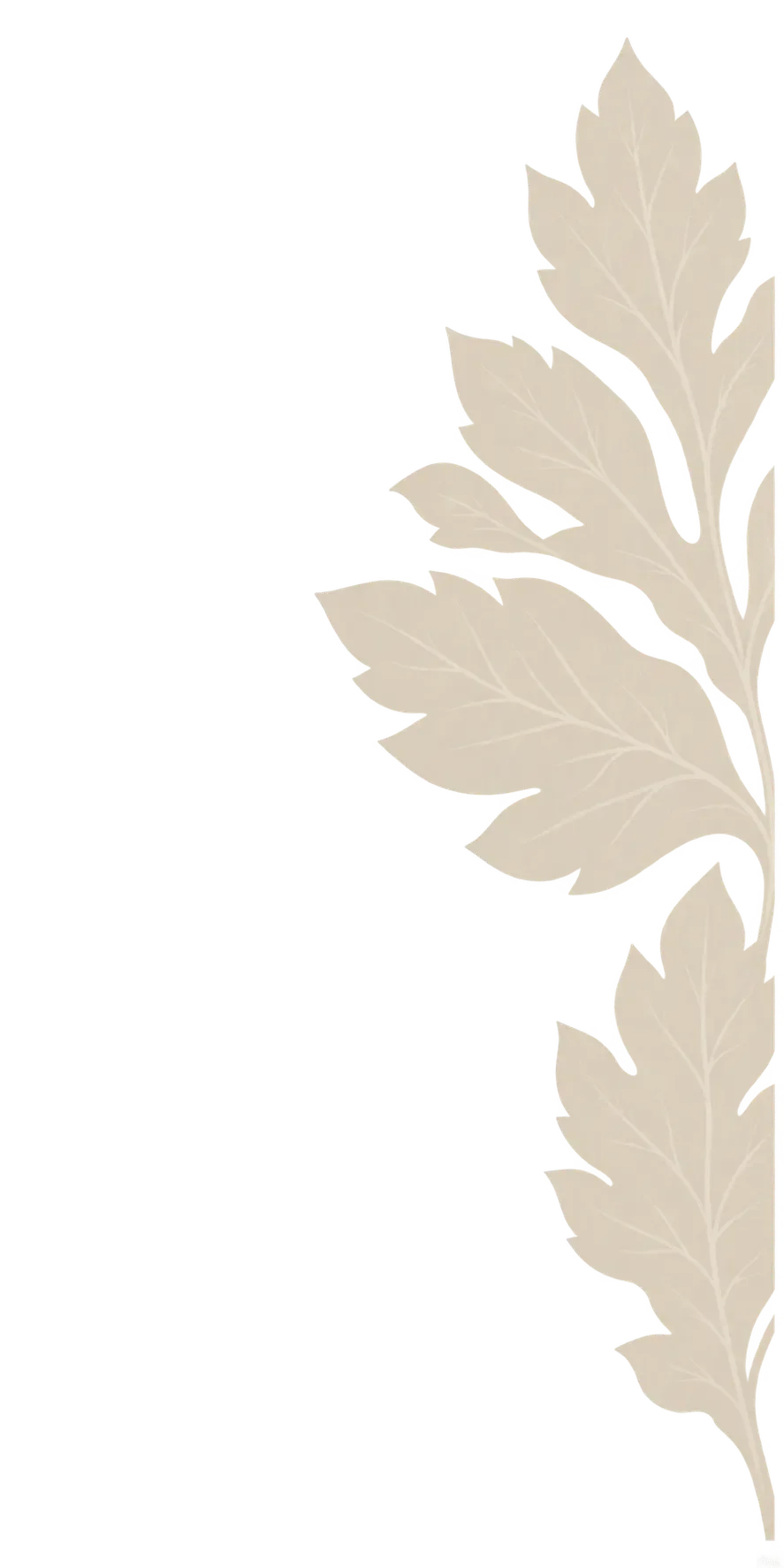 A vertical decorative illustration of beige leaves on a black background.
