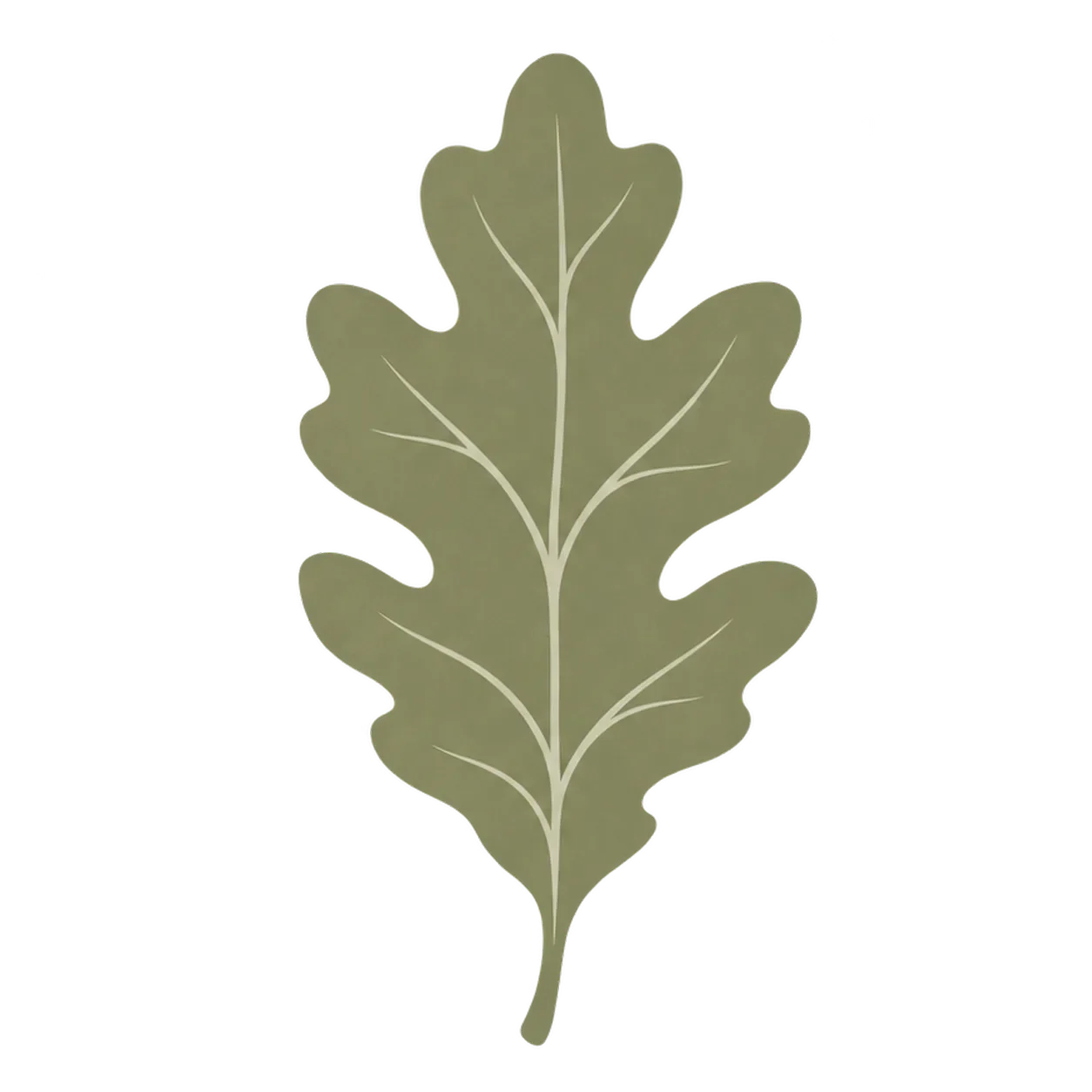 A single green oak leaf with prominent veins and a slightly jagged edge.