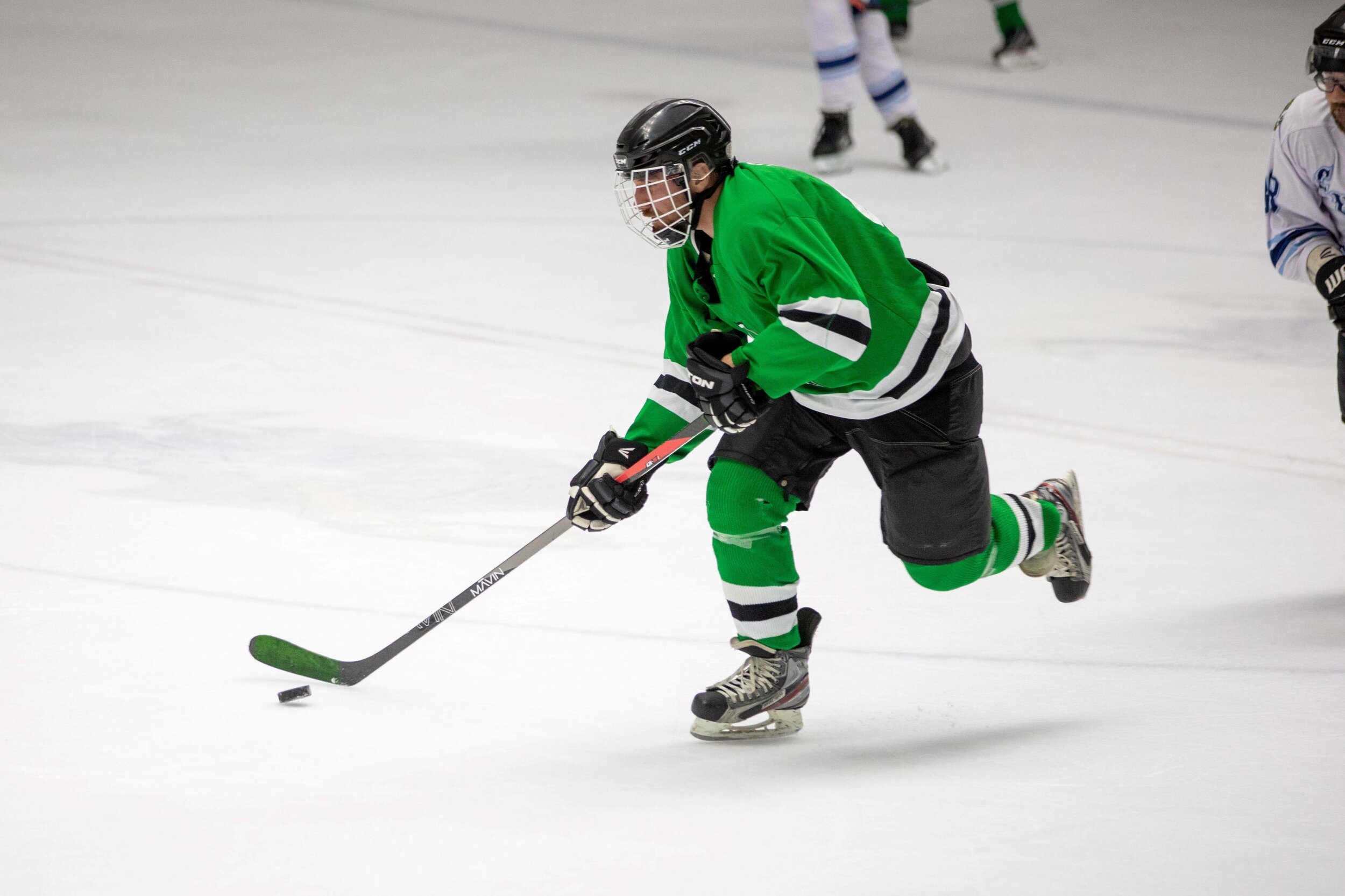 Elk Grove Adult Hockey League.jpg