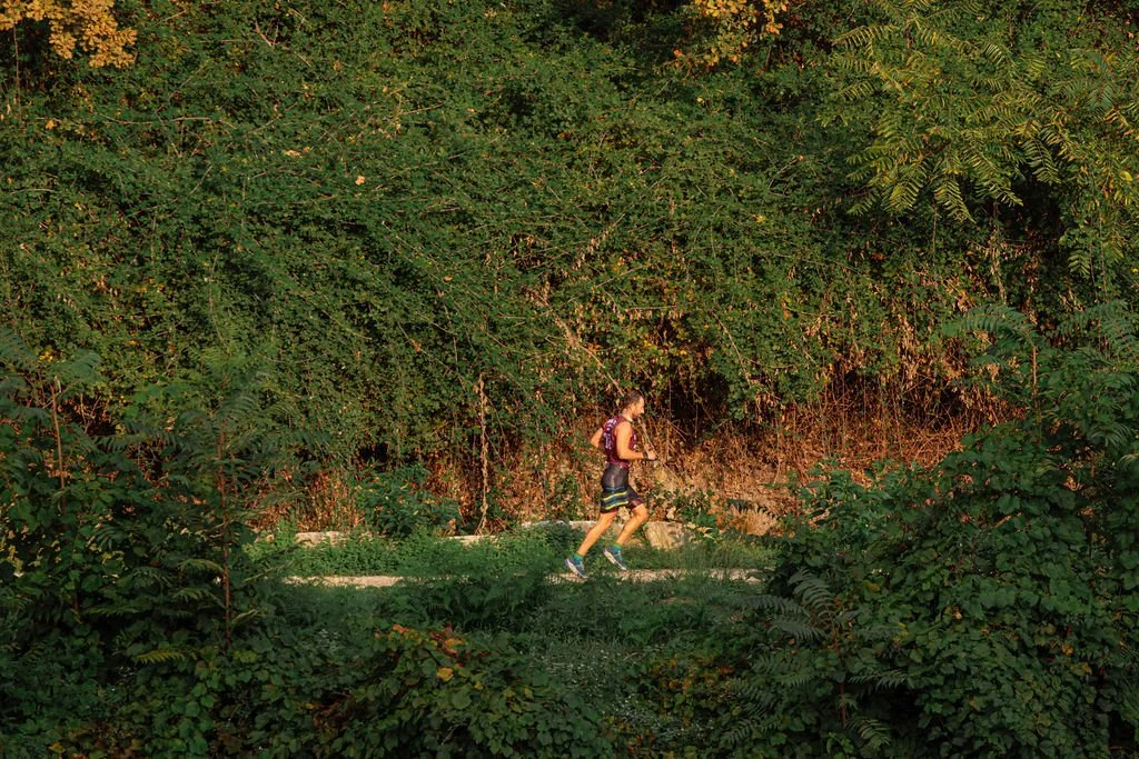 _FOT2659.jpg