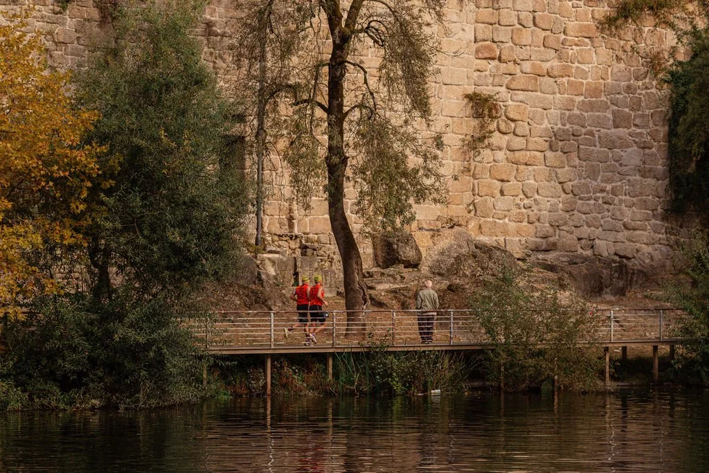 _FOT2768.jpg