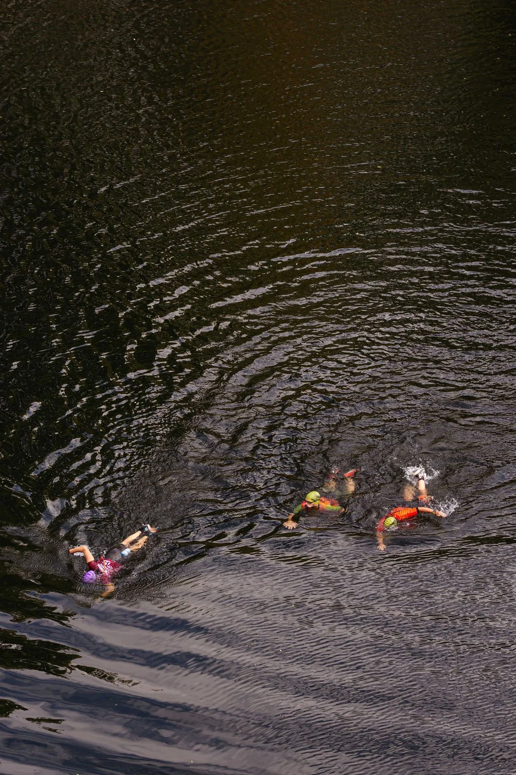 _FOT2896.jpg