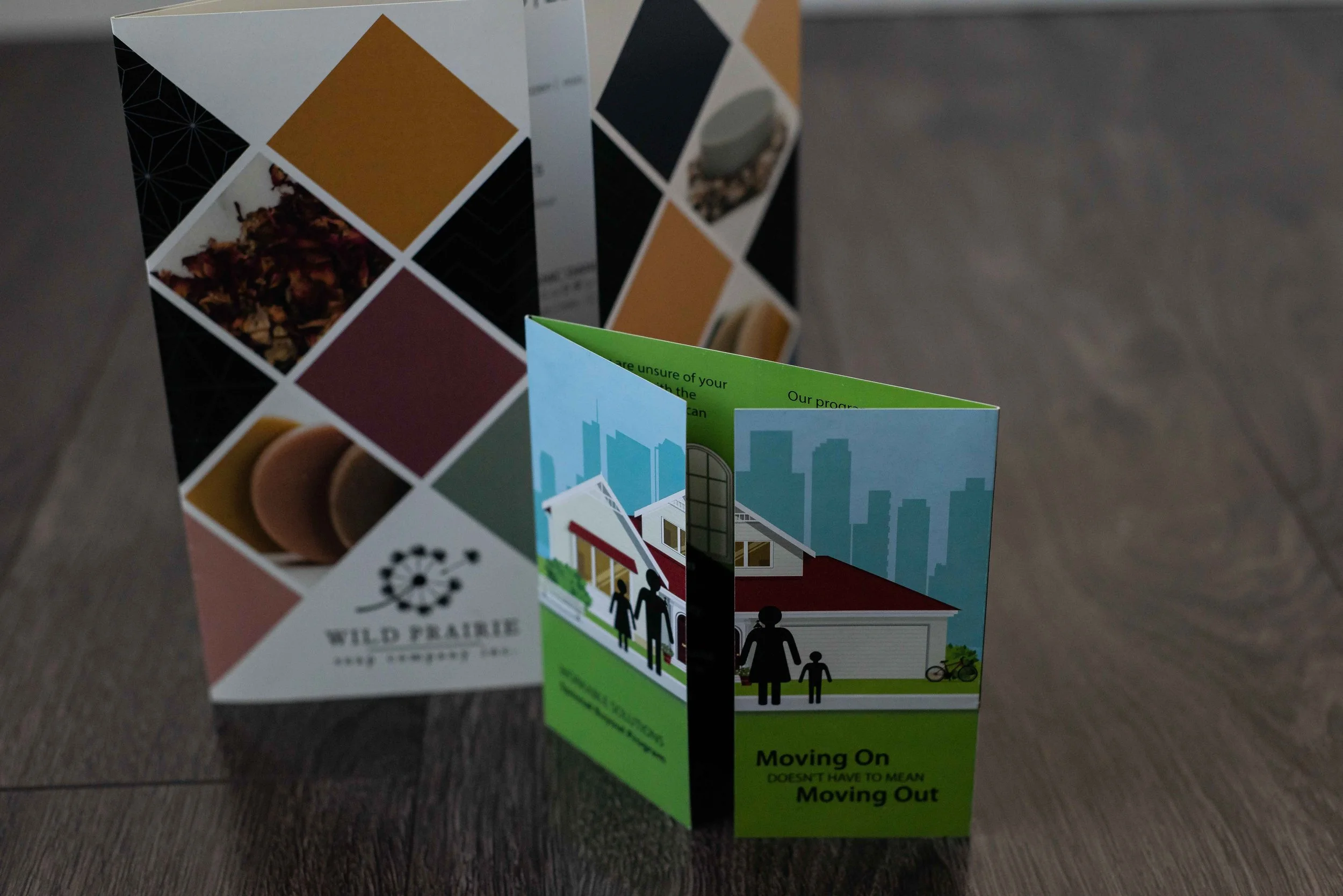 two brochures.jpg