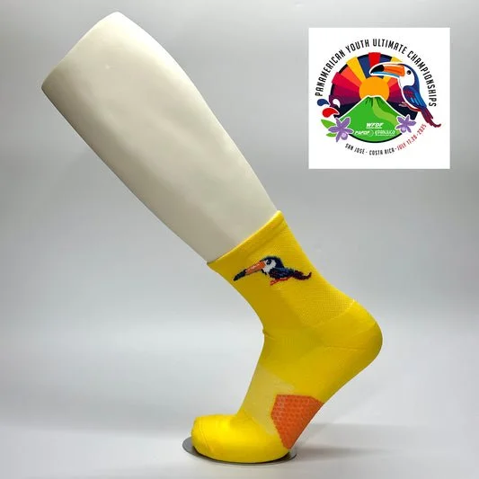 PAYUC_AMARILLO.jpg