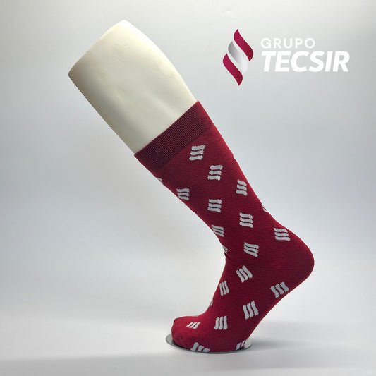 Grupo_Tecsir.jpg