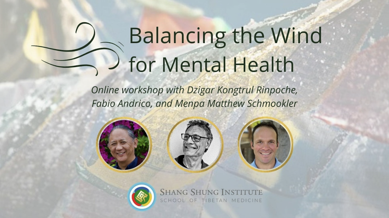 Balancing the Wind for Mental Health