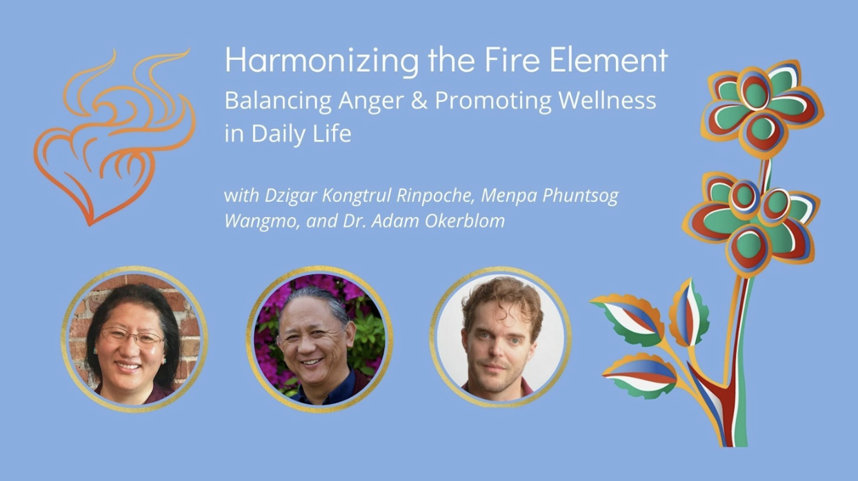 Harmonizing the Fire Element: Balancing Anger &amp; Promoting Wellness in Daily Life