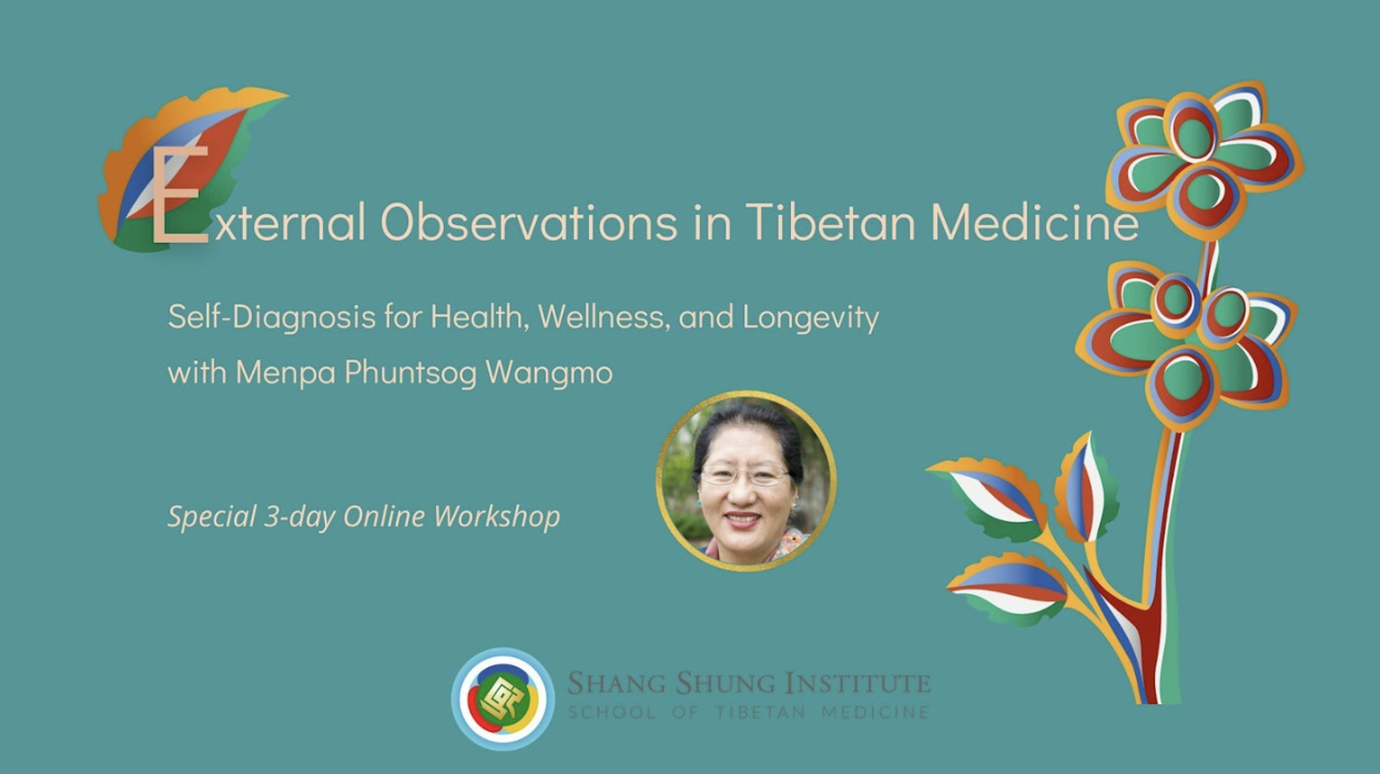 External Observations in Tibetan Medicine
