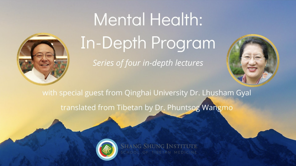 Mental Health: In-Depth Program