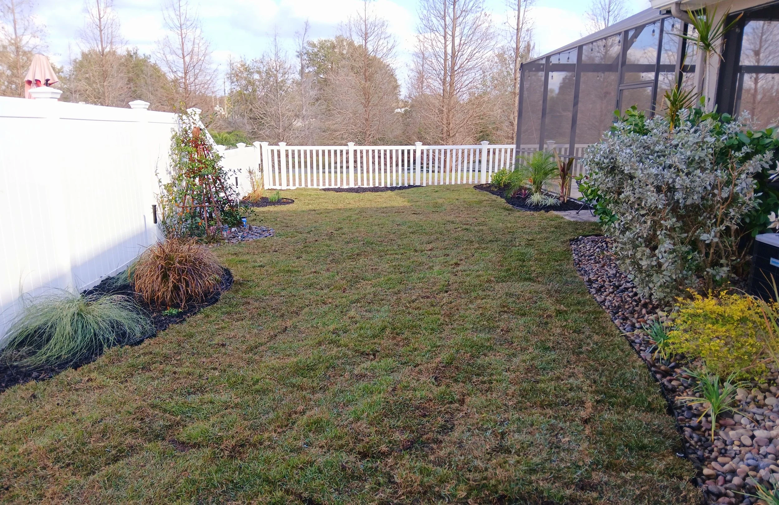 Durant, FL -Full yard renovation featuring Zoysia sod installation, black aluminum edging, and ornamental plantings including Queen Emma Crinum and Sunshine Ligustrum. Clean lines established throughout for a polished, low-maintenance finish.