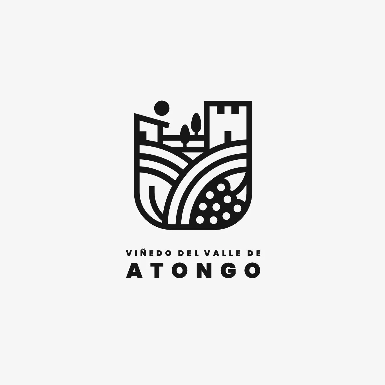 Valle de Atongo – Residencial y viñedo [2025].