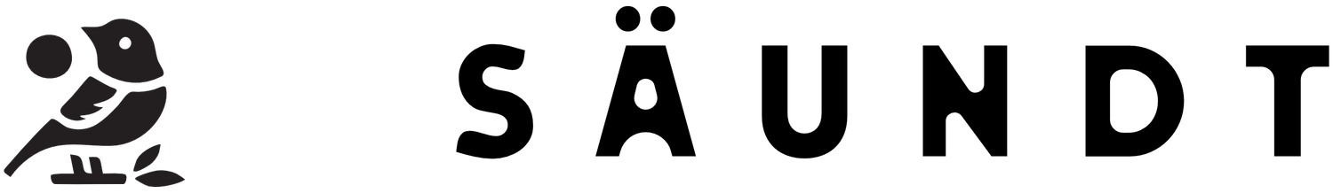 Säundt Co.