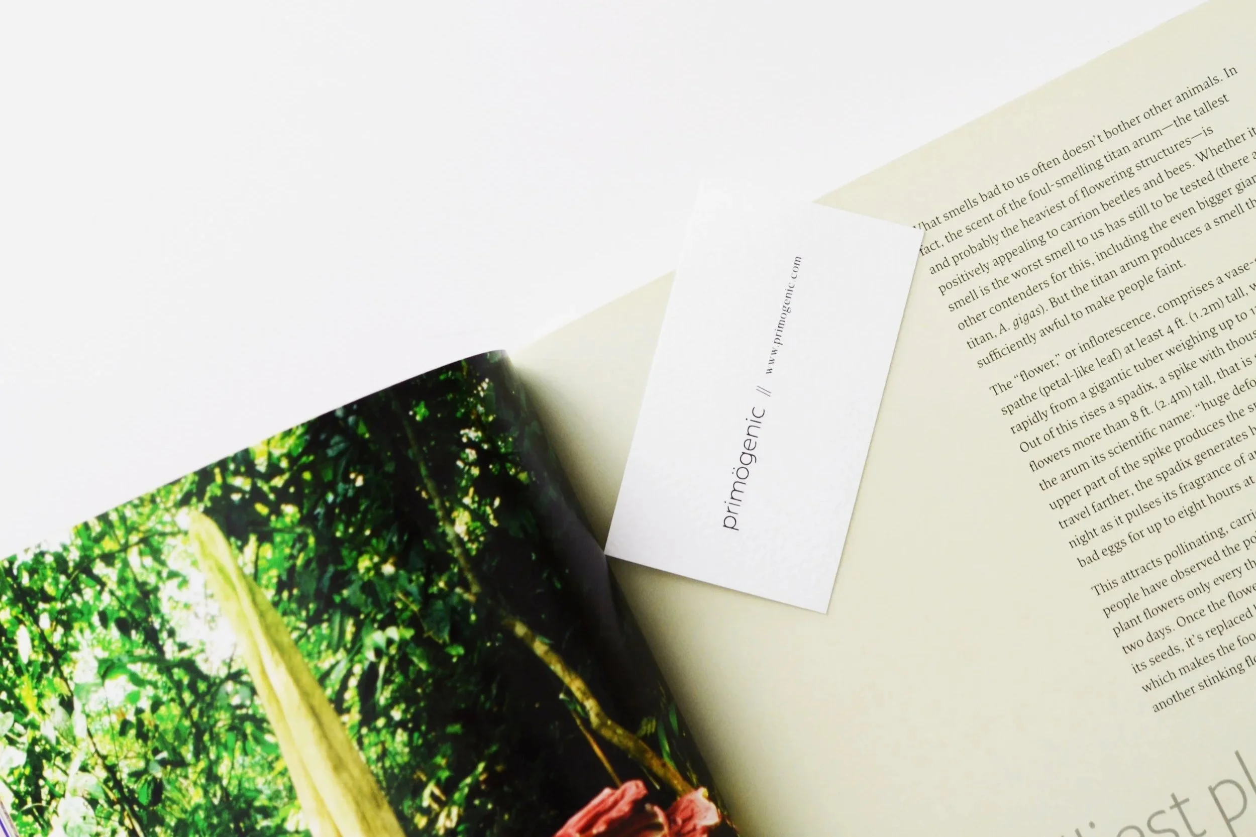 Experimentos de validación y prototipado de servicios para negocios creativos.
Arquitectura de marca y branding para firmas de consultoría de innovación.
Desarrollo de sistema de diseño y manual de identidad visual para empresas creativas.
