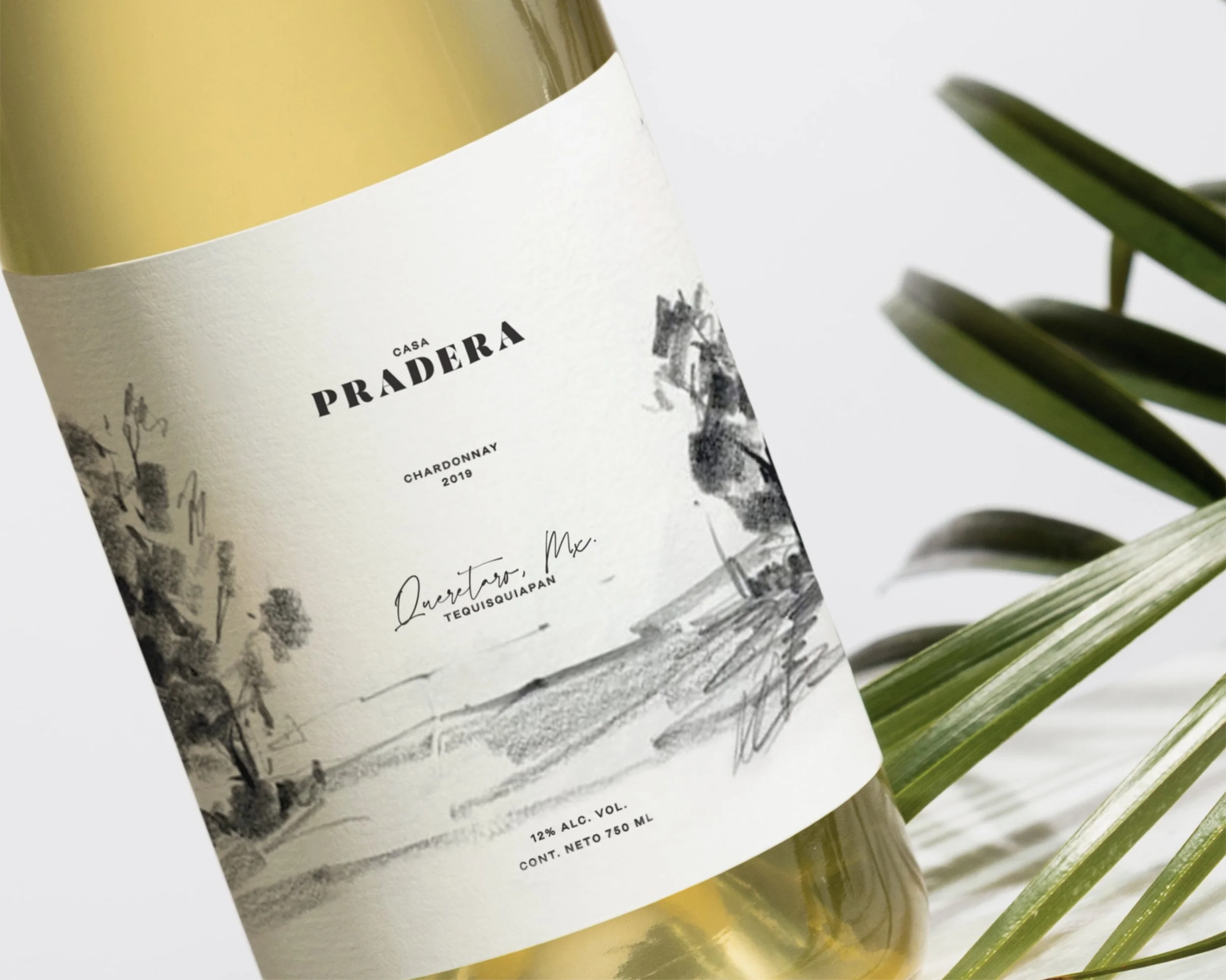 Desarrollo de identidad visual y sistema de diseño para marca corporativa.
Dirección creativa para lanzamiento de producto/servicio.
Diseño de etiqueta. Diseño de empaque. Experiencia del usuario. 
Alimentos y bebidas. Restaurantes. Viñedos. Vino.