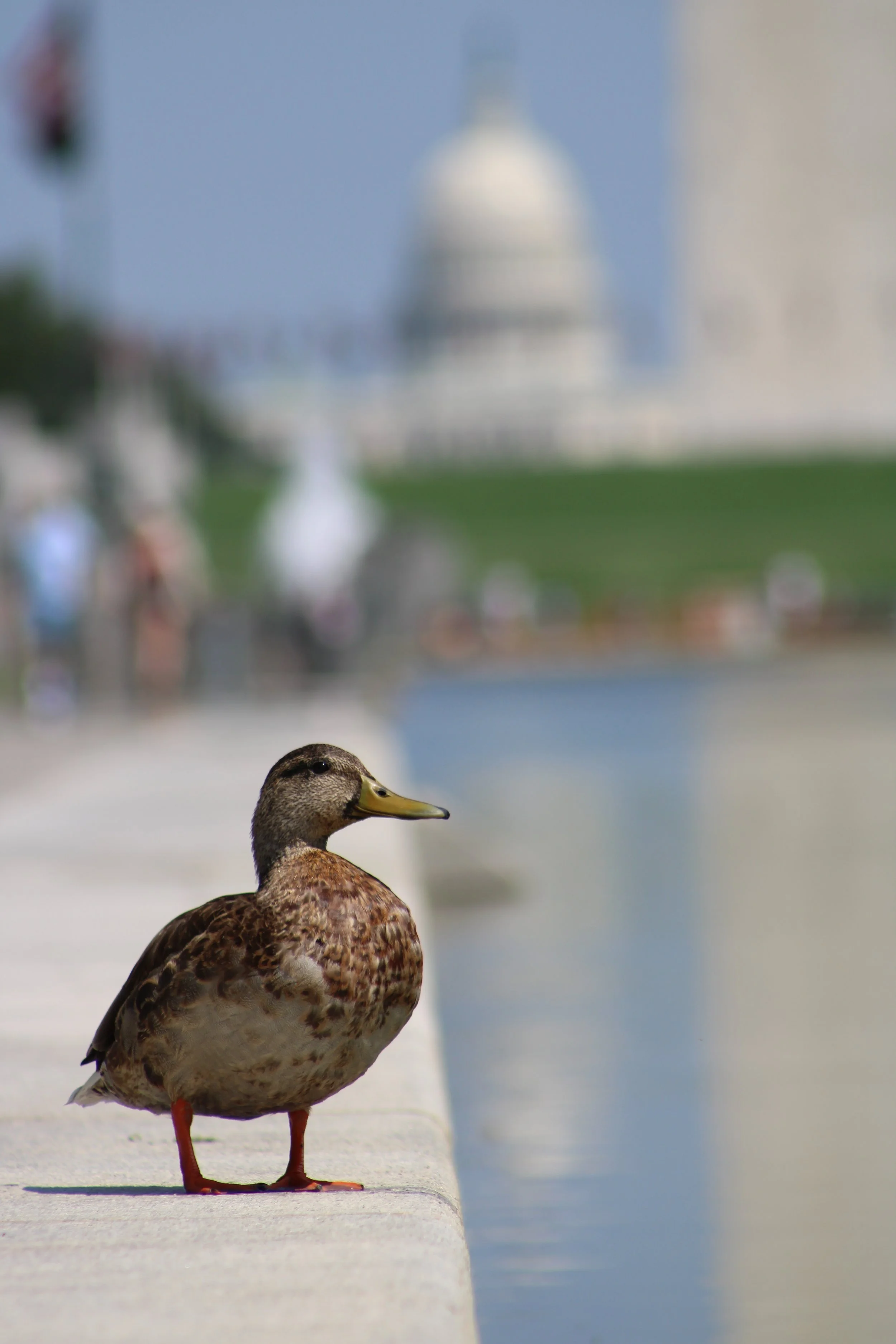 IMG_6130.JPG