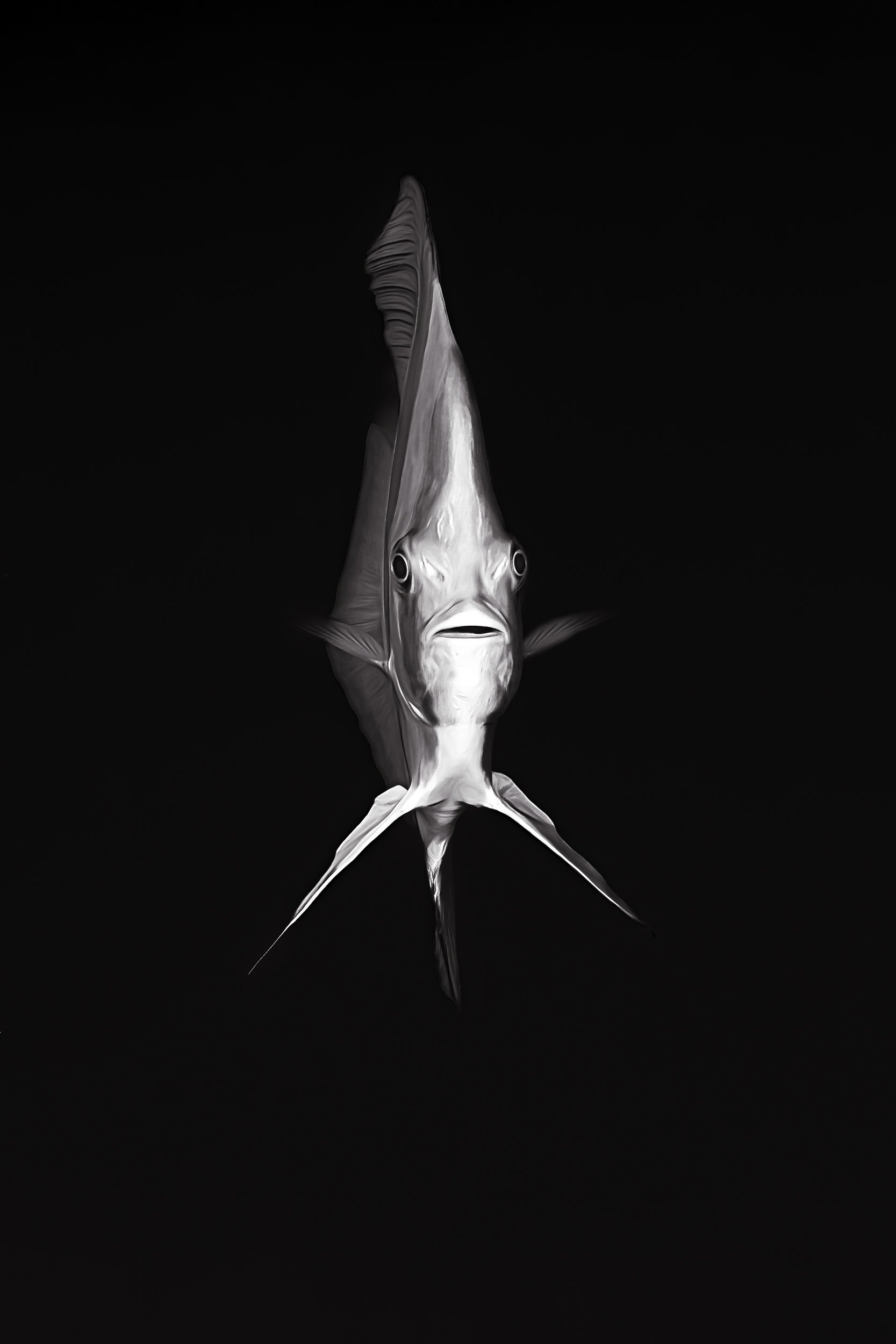 Jon Kreider Underwater Photography-9.jpg