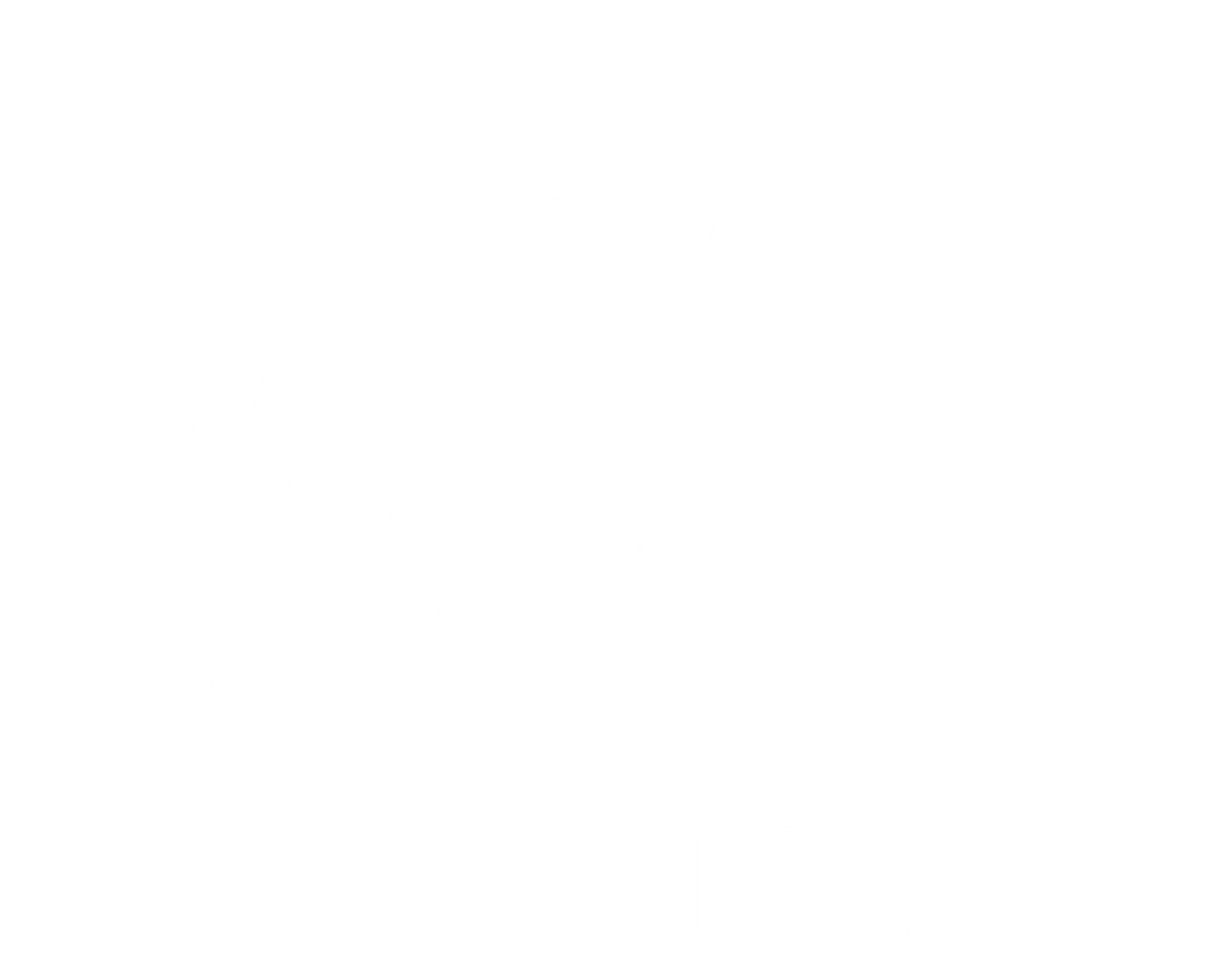 Ute Steinscherer