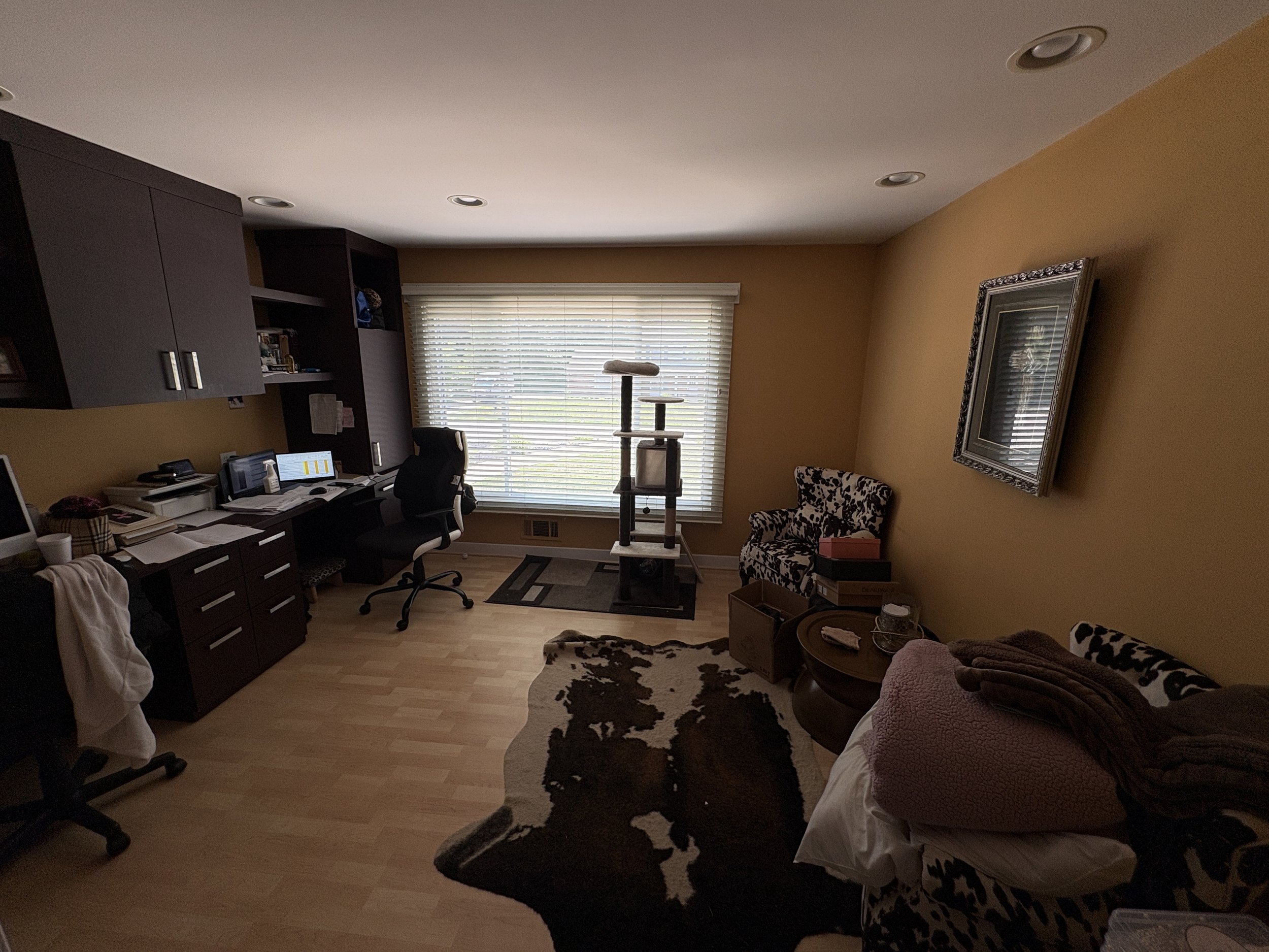 Before Picture of Home Office 