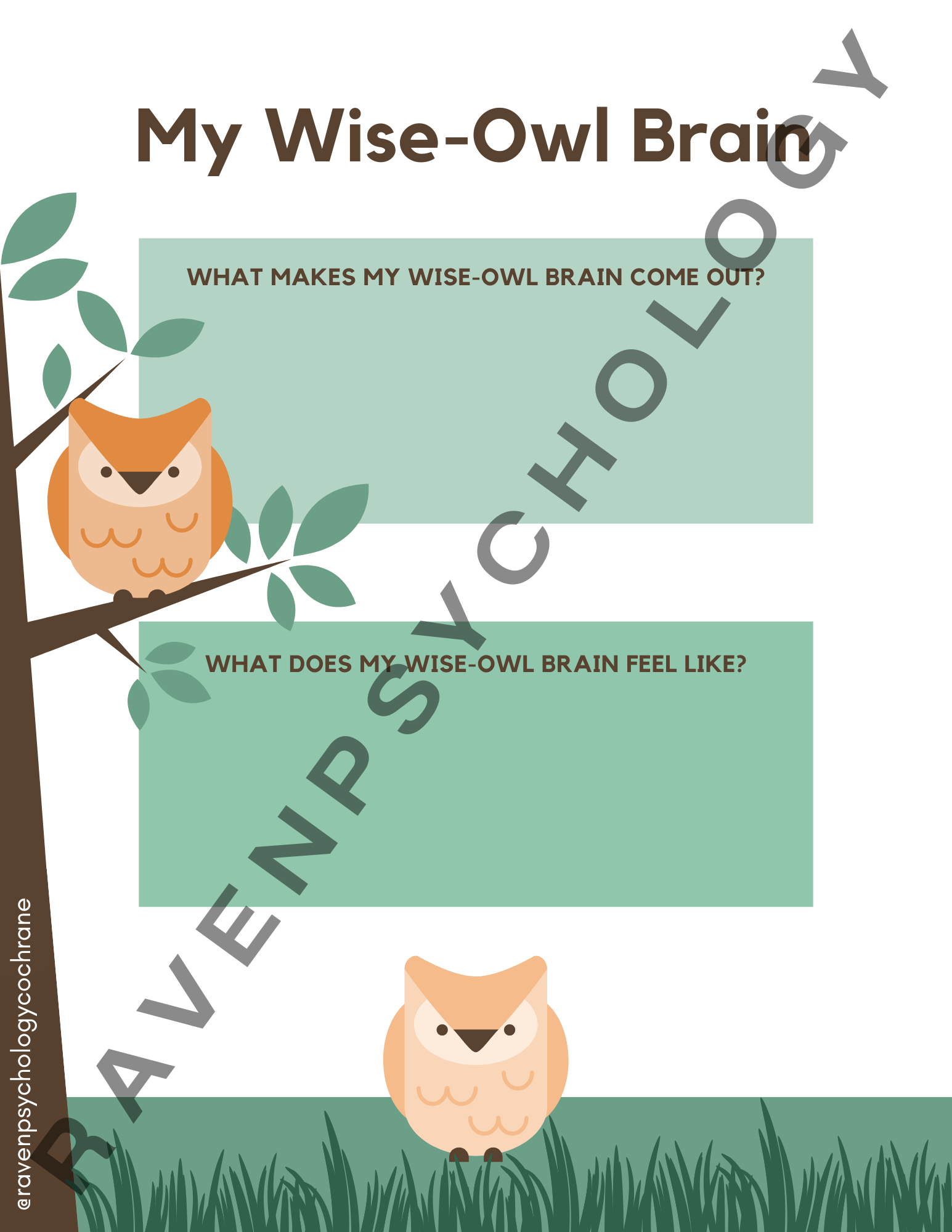 Wise Owl Brain