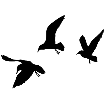 Silhouette of a person riding a bicycle in a night setting.