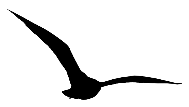A white outline of a bird in flight on a black background.