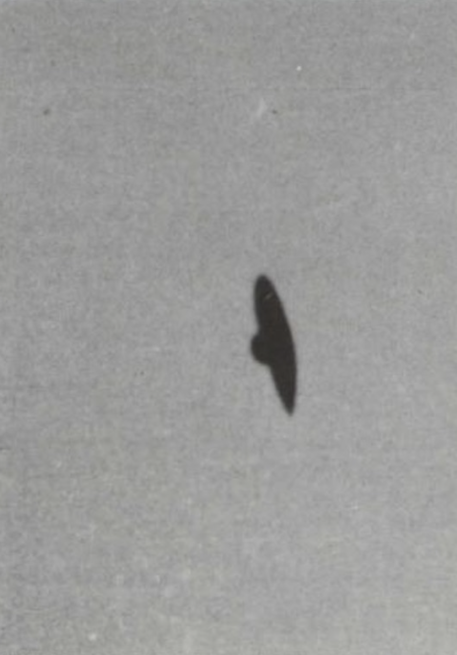 Photograph of a UFO taken by Pat McCarthy, photo 2