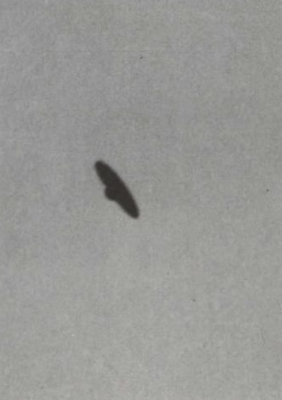 Photograph of a UFO taken by Pat McCarthy, photo 3