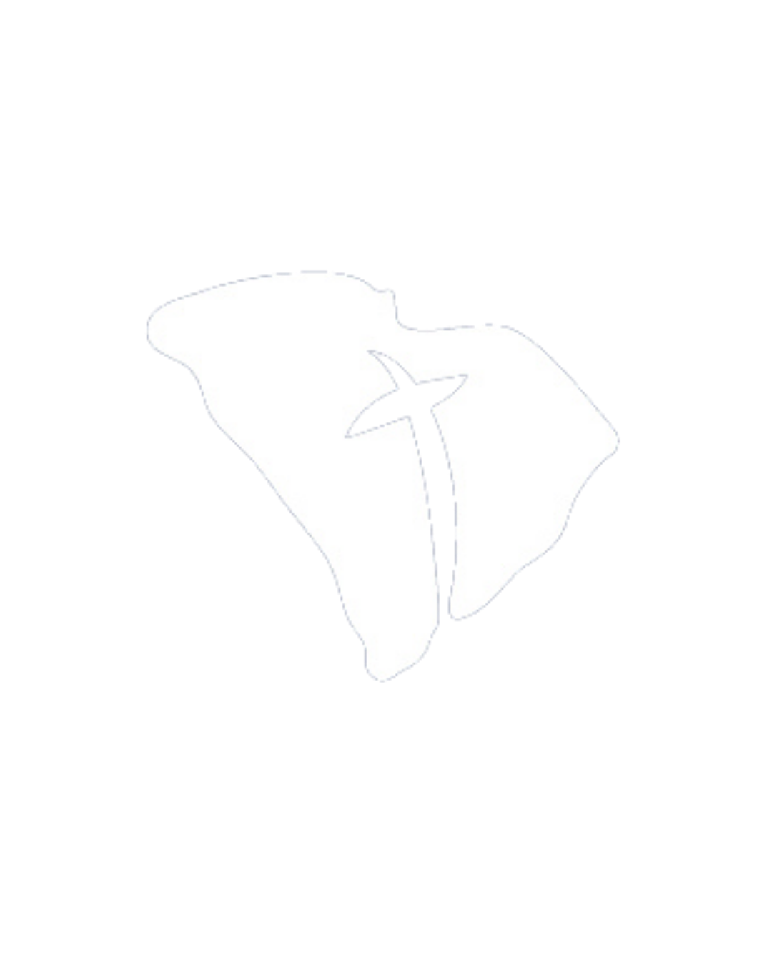A white shirt with a blue and red star design on the front, hanging on a hanger against a black background.