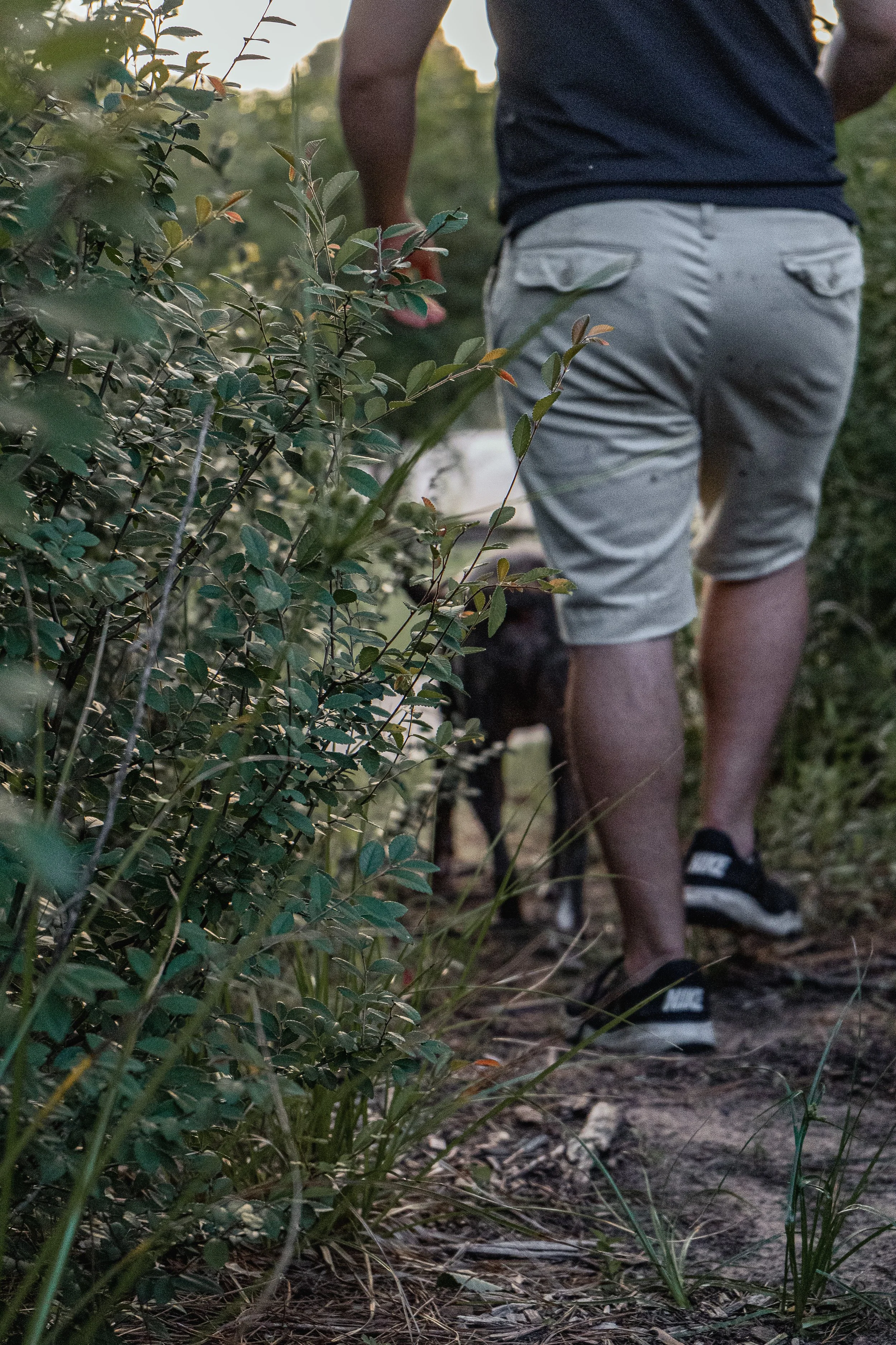 A man walking in a wooded area wearing light-colored shorts, a dark shirt, and slide sandals. The focus is on the person's lower body, with foliage and a dirt path visible.