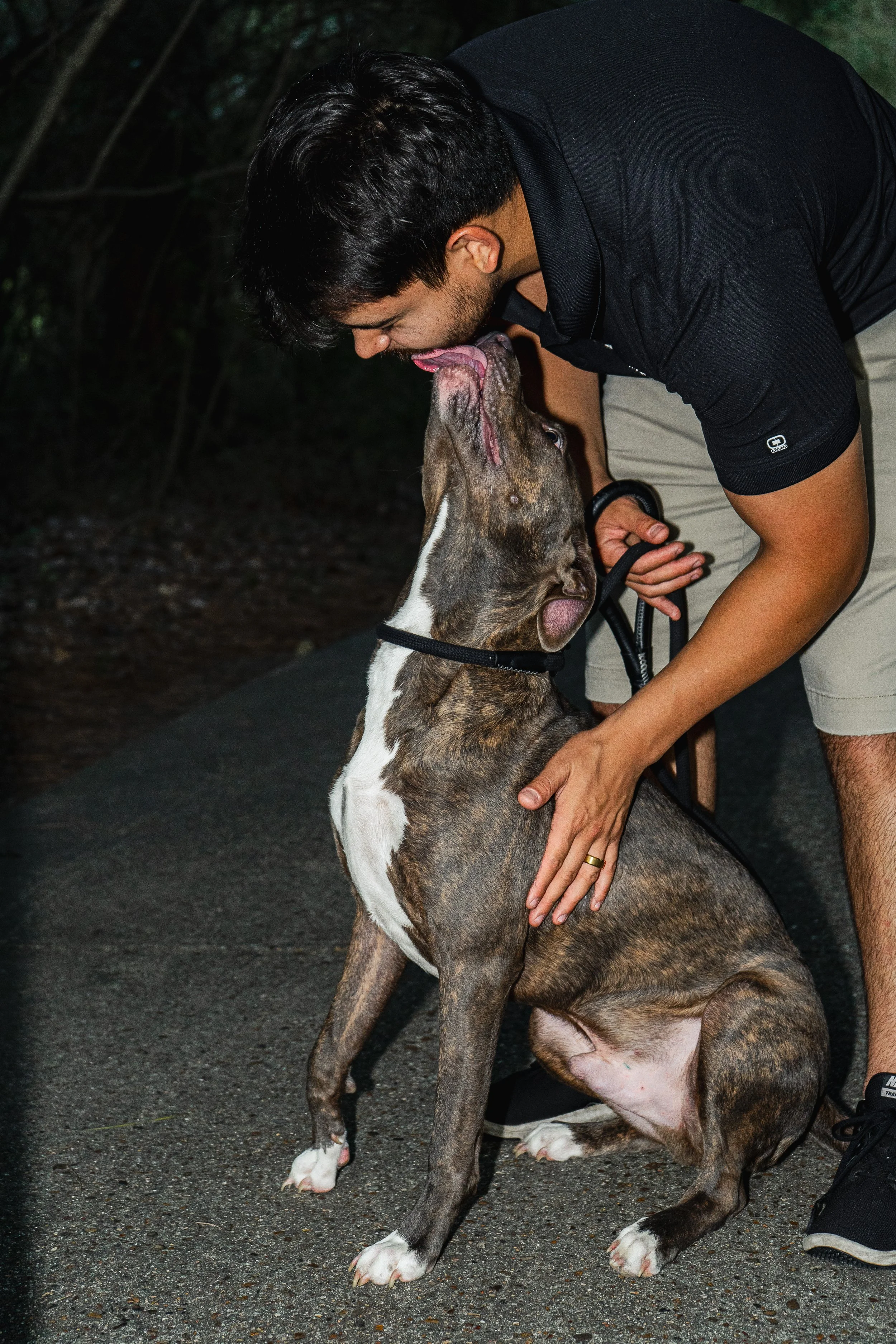 A man with black hair and a beard leaning down to kiss a large, brindle-colored dog with white paws and chest, outdoors on a dark, paved surface with trees in the background.