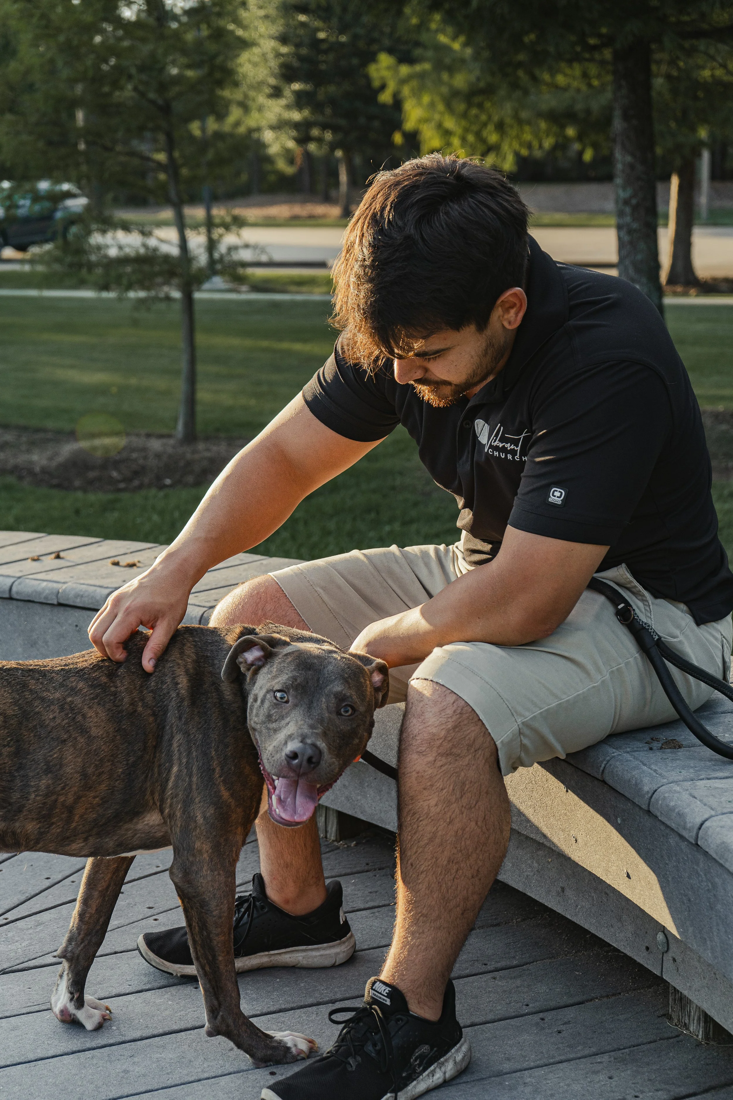 A man with dark hair, a beard, wearing a black shirt and beige shorts, is sitting on a bench outdoors playing with a large gray and brown dog. The dog has blue eyes and is panting, with its tongue hanging out. The scene is set in a park during daylig