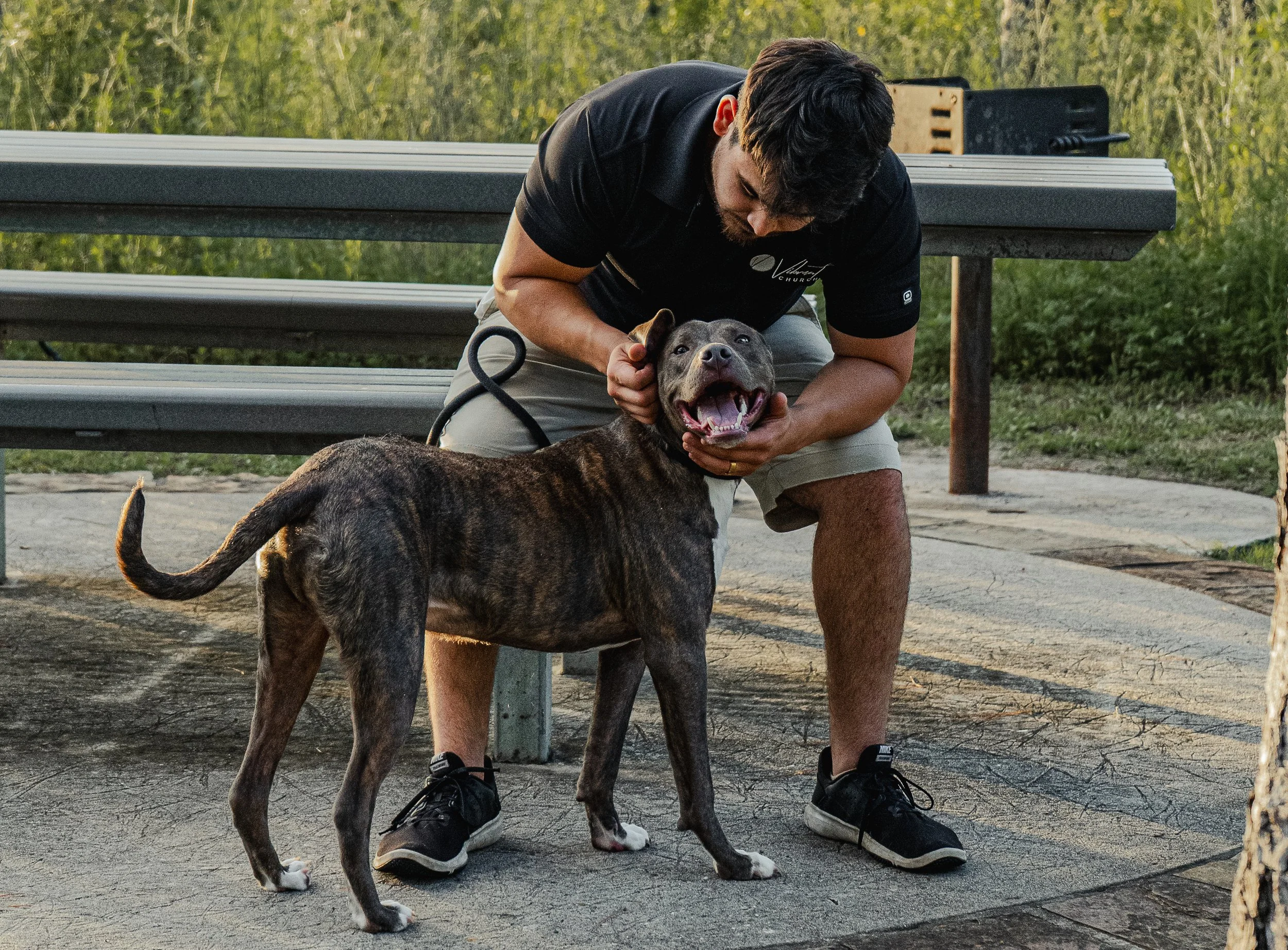 A man kneeling on the ground holding a happy gray dog with its mouth open, outdoors near park benches and a grassy area.