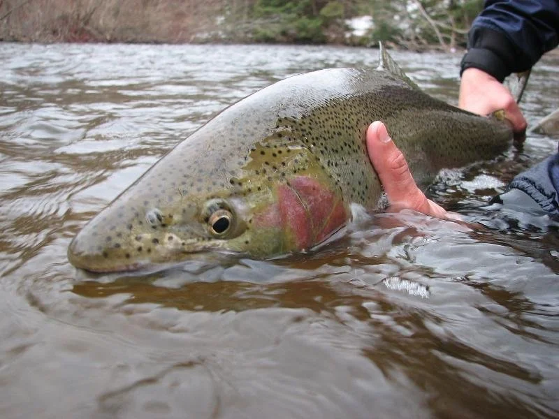 6-Hour Guided Trip