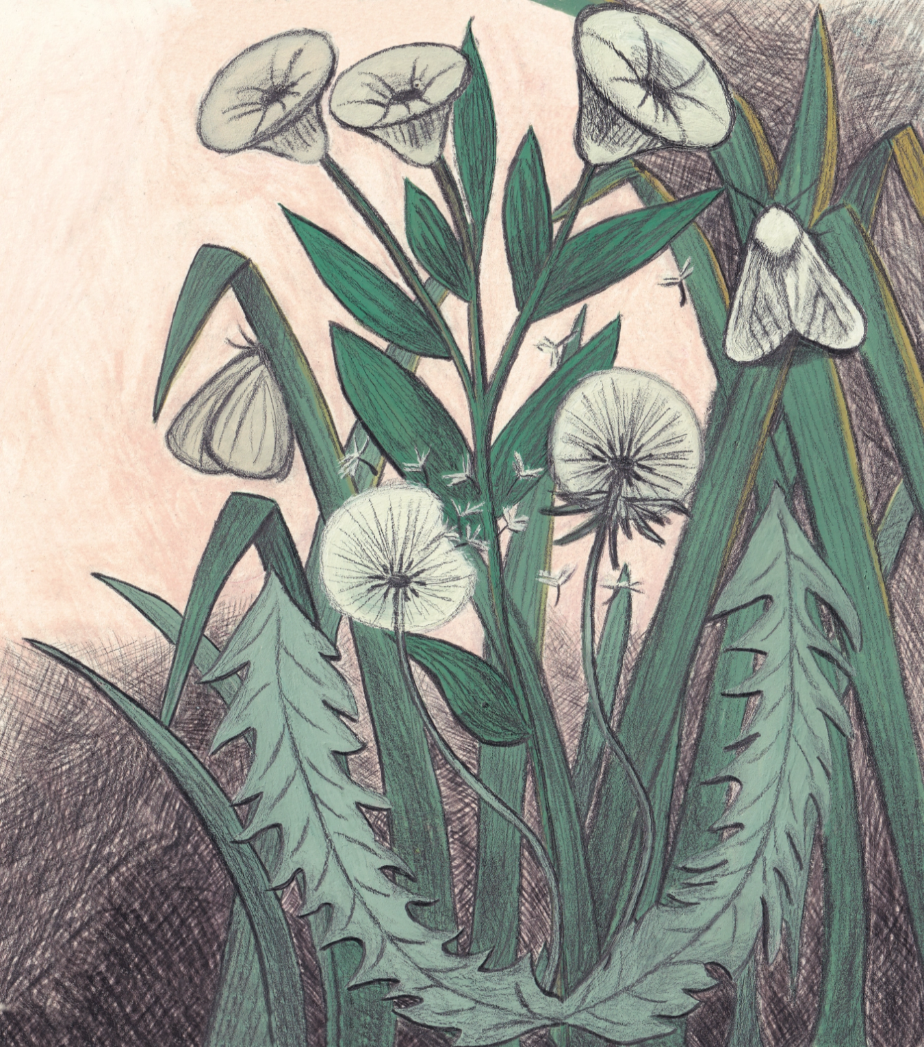 AshleyHerman_DelicatePollinators_image1.png
