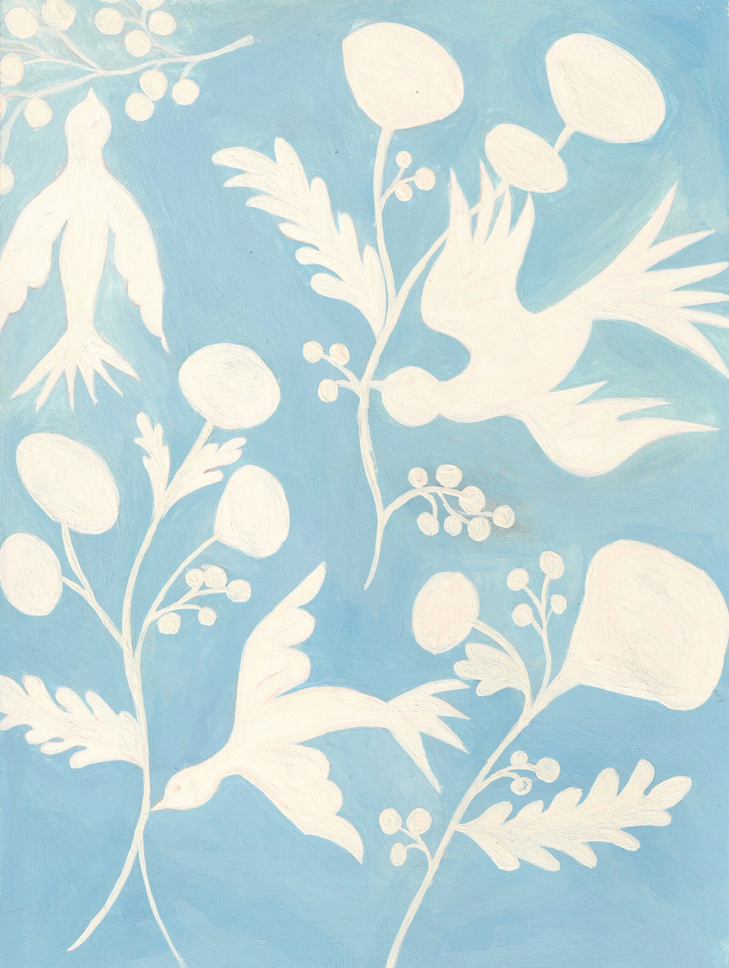 Birds_20260830_0002.jpg