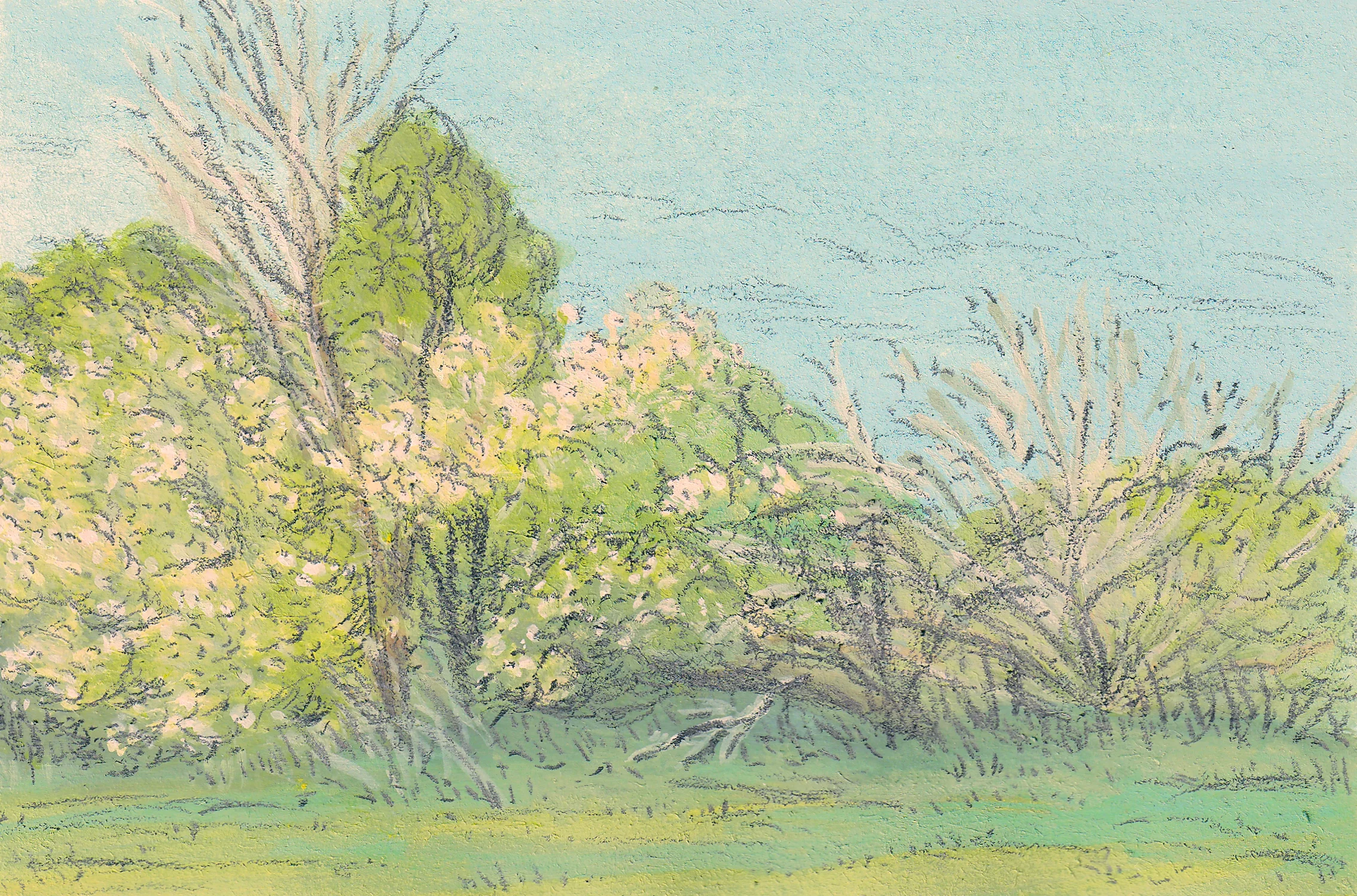 Spring landscape painting done with gouache with graphite details