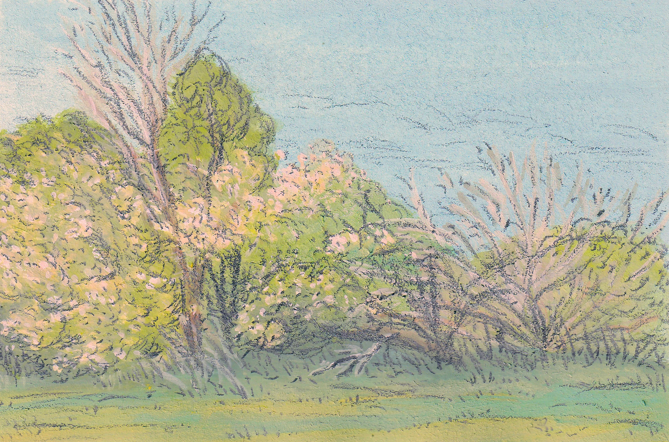 springlandscape_warmgreen.webp