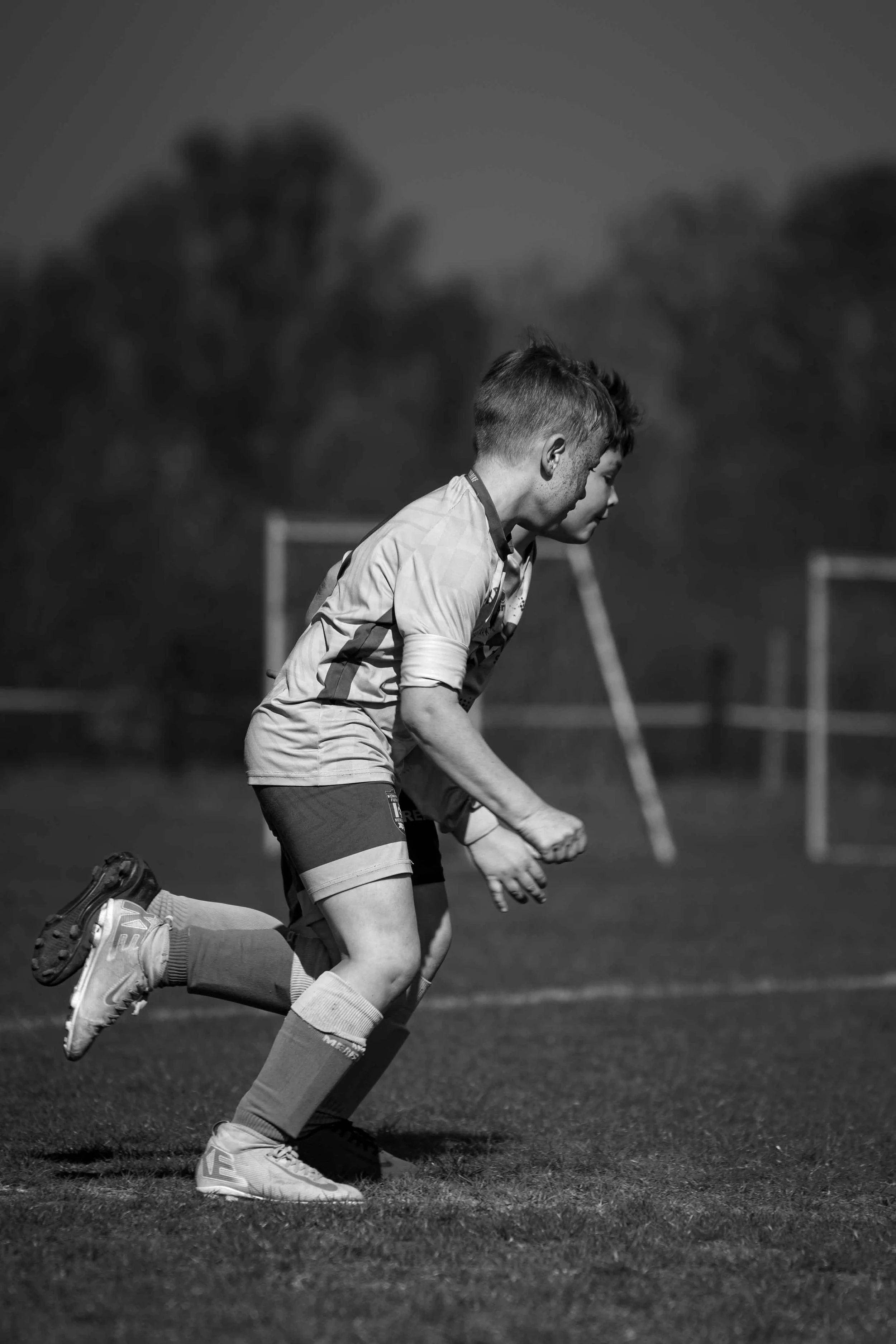 _DSC3416-bewerkt.jpg