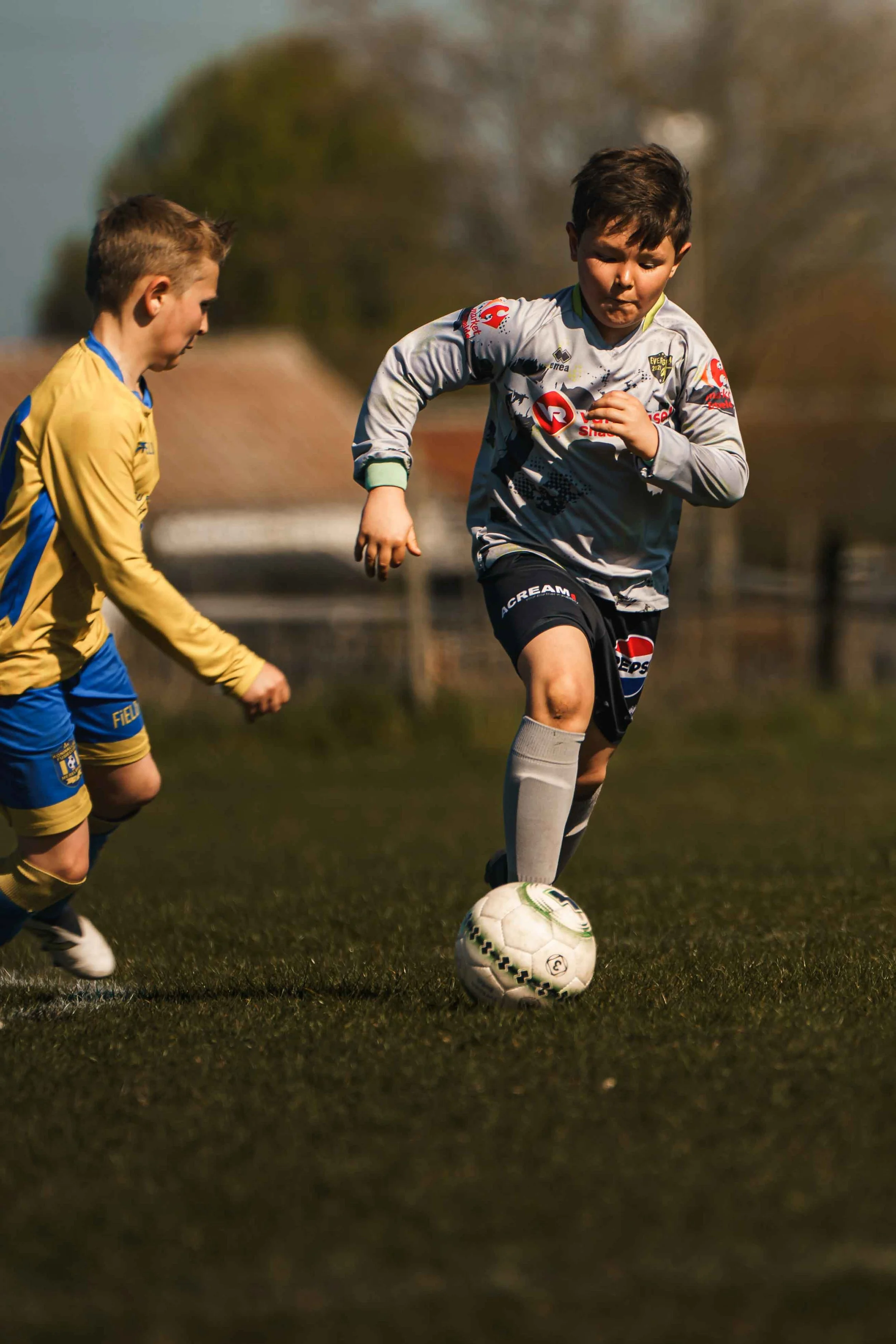 _DSC3659-bewerkt.jpg