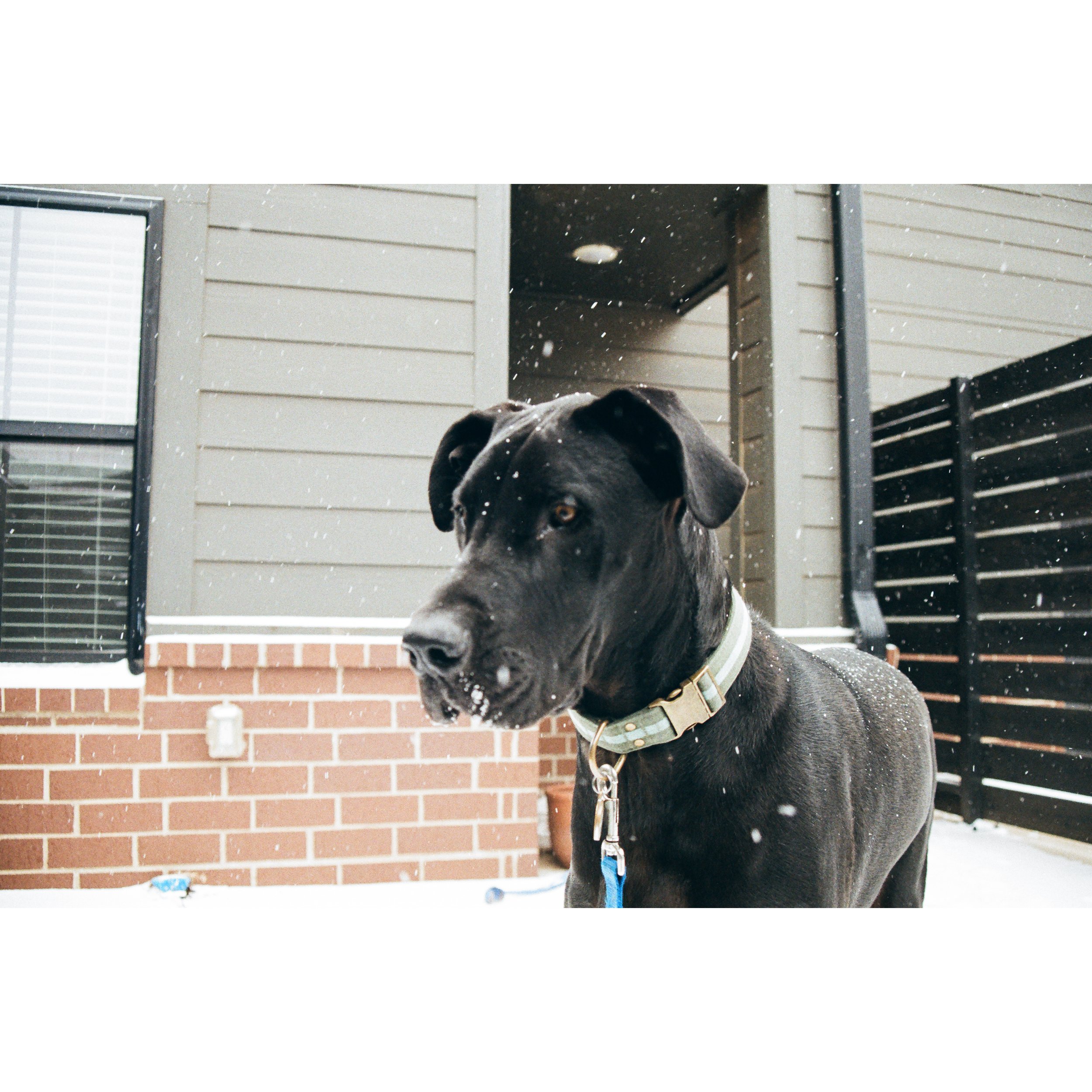 Whitagram-Image (11).jpg