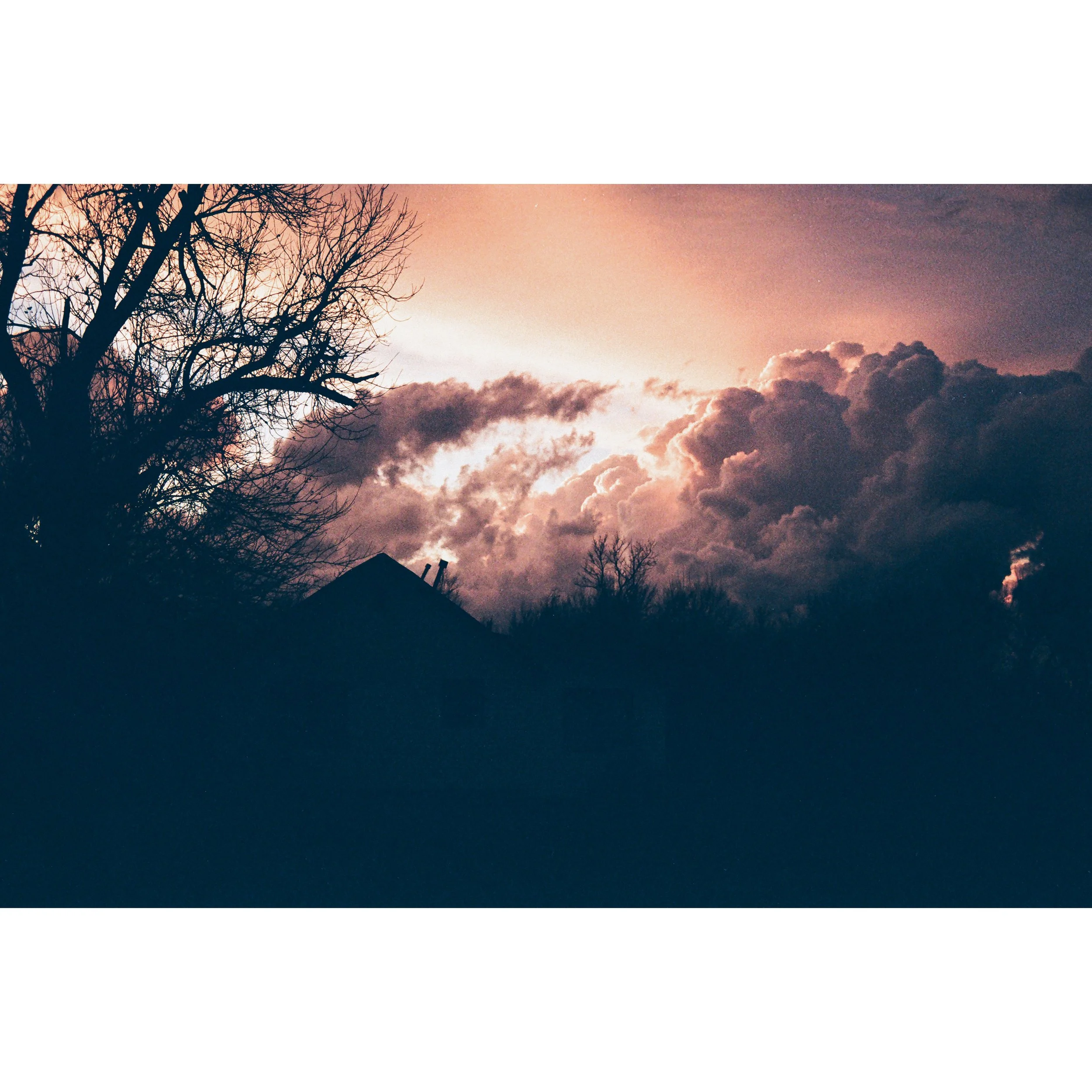 Whitagram-Image (16).jpg