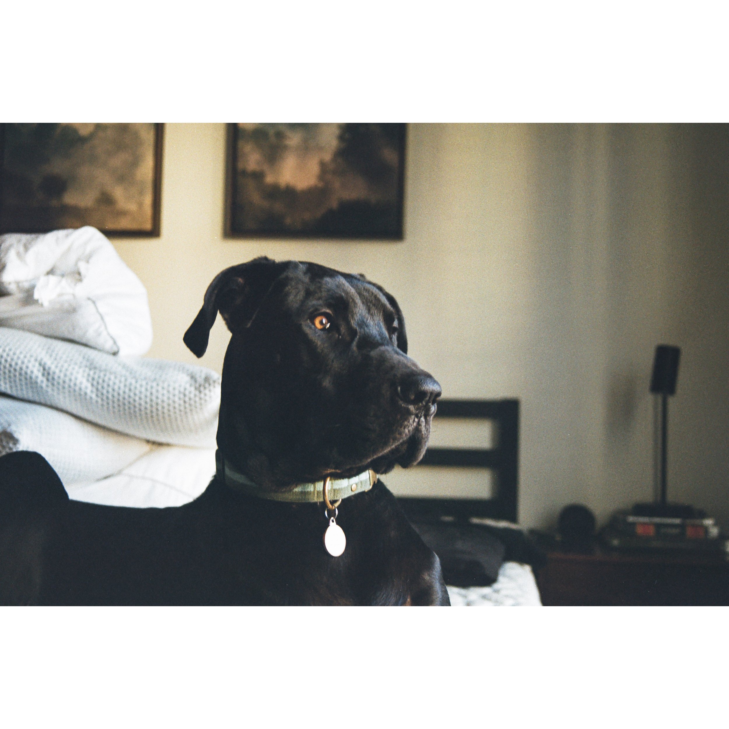 Whitagram-Image (4).jpg